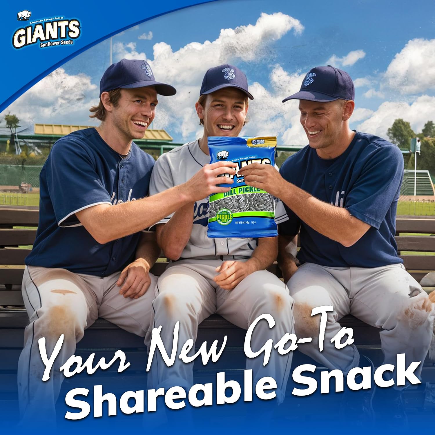 GIANTS Original Sunflower Seeds - Sunflower Seeds to Eat, Sunflower Seeds Bulk, Lightly Salted Sunflower Seeds for Eating, High Protein Snack - 5.75 oz Resealable Bags (Case of 12)