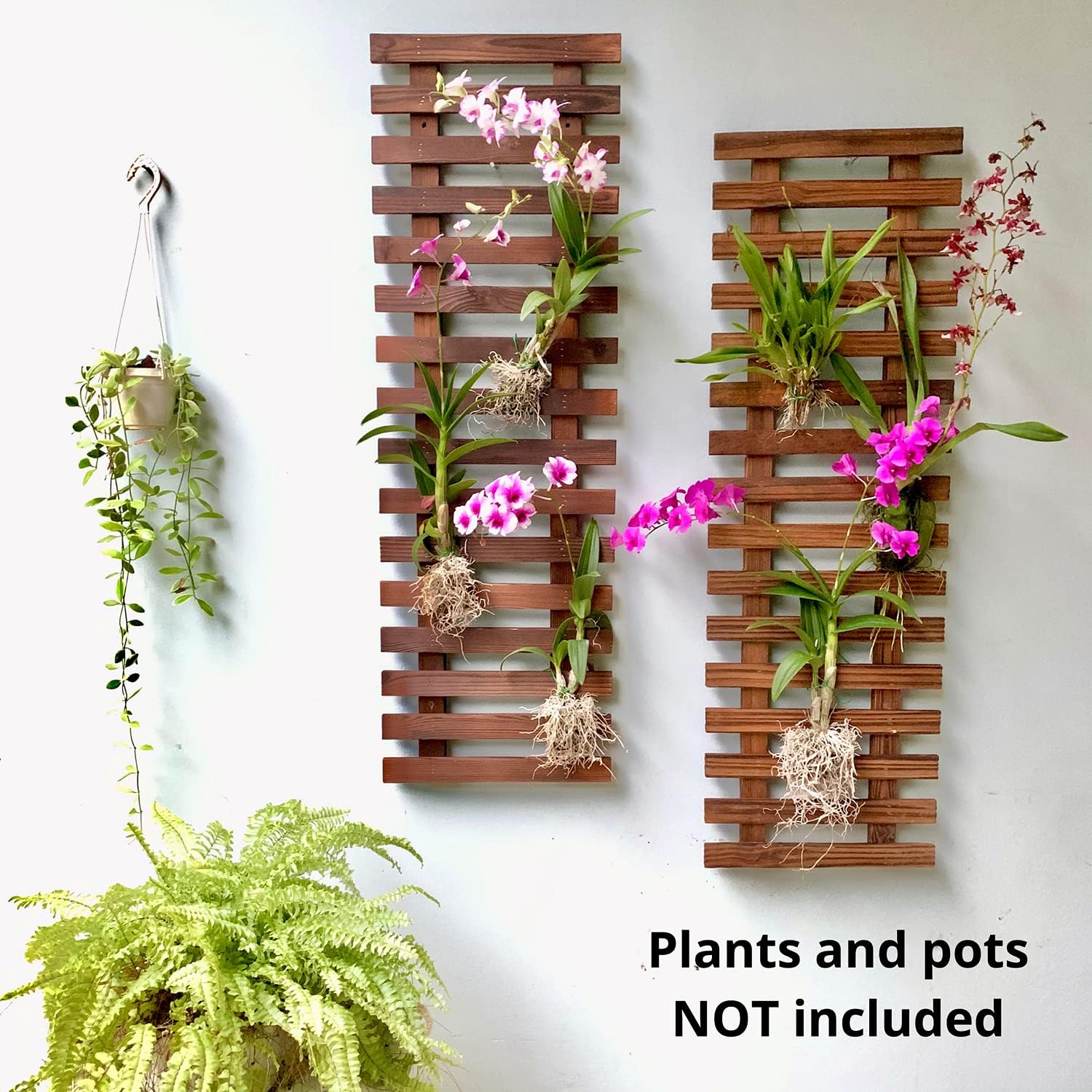 ShopLaLa Wall Planter (60cm, 2 Pack) Hanging Planters for Indoor Plants