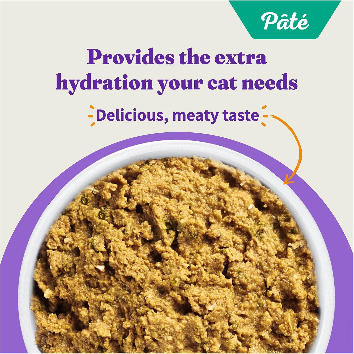 Halo Wet Cat Food Real Chicken Recipe, Grain-Free Wet Pate, Canned Cat Food for Extra Hydration, 5.5 Oz Can (Pack of 12)