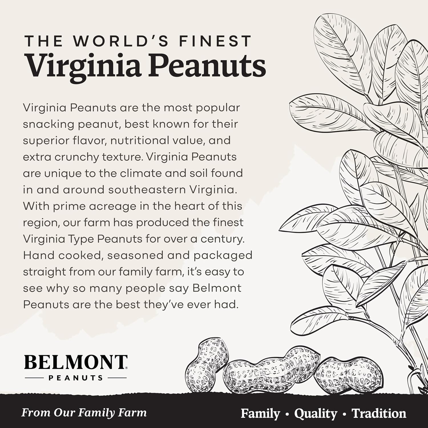 Belmont Peanuts Gourmet Sea-Salted Virginia Peanuts, 20 oz (1 Pack) – Only 3 Simple Ingredients, No Preservatives, 7g Protein – A Premium, Salty, Crunchy, Hand Seasoned Snack