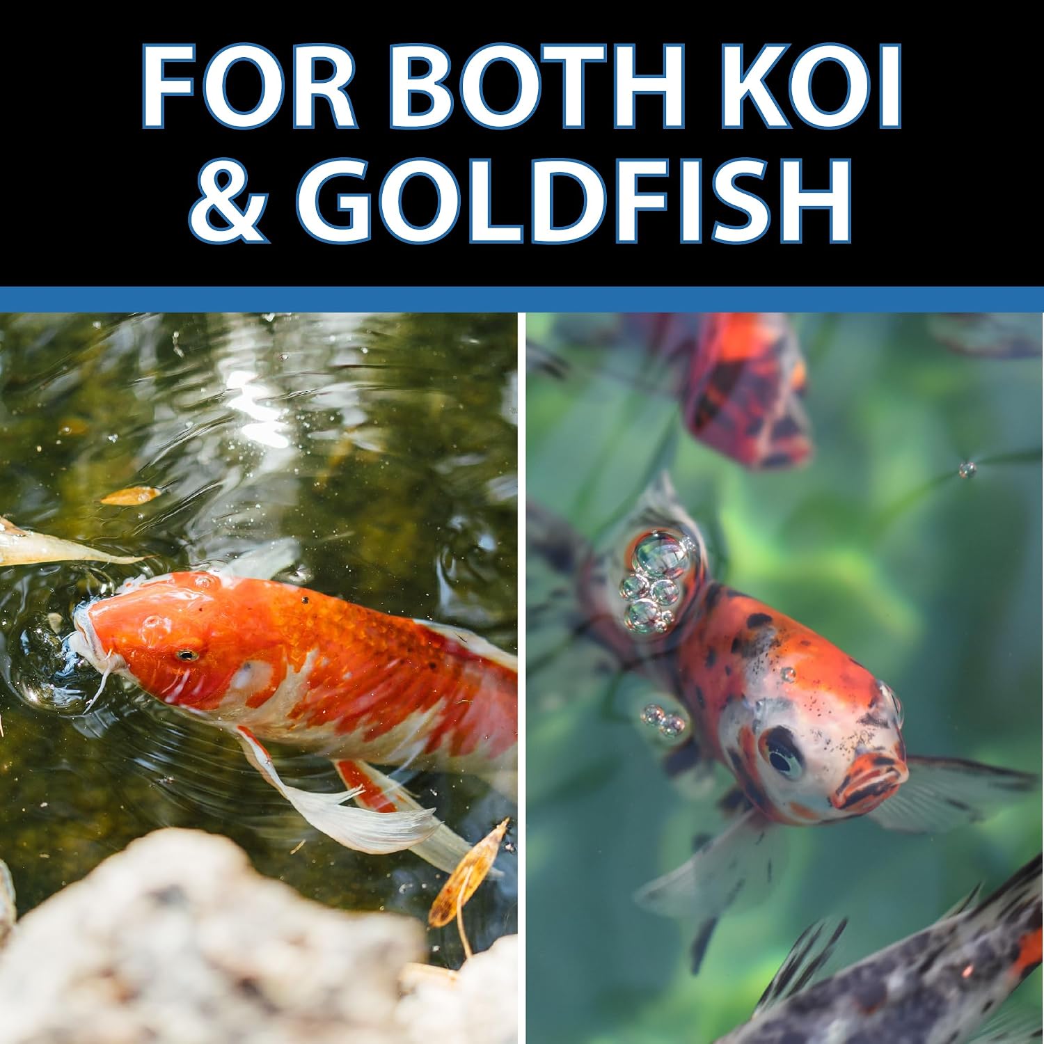 CrystalClear Staple Pond Fish Food for Koi & Goldfish, 8.8 Pound Bucket | Protein packed floating pellets for summer nutrition with easy digestion to support healthy growth and vitality