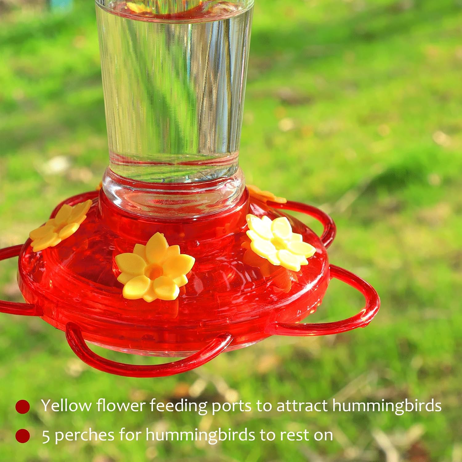 Shrdaepe Hummingbird Feeder, Glass Bottle Bird Feeders, 5 Feeding Ports, 10-Ounce Nectar Capacity