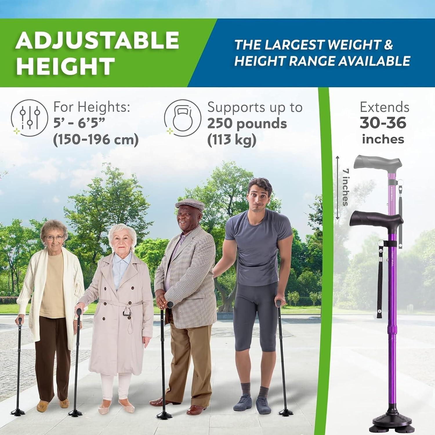 HONEYBULL Walking Cane for Men & Women, Foldable Free Standing Cane | Adjustable height, collapsible design, heavy-duty, pivot base for stable support, ergonomic handle