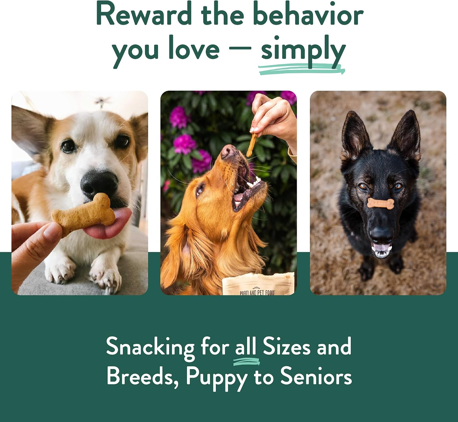 Portland Pet Food Dog Treats Variety, Healthy, Grain-Free Biscuits, 3 Pack
