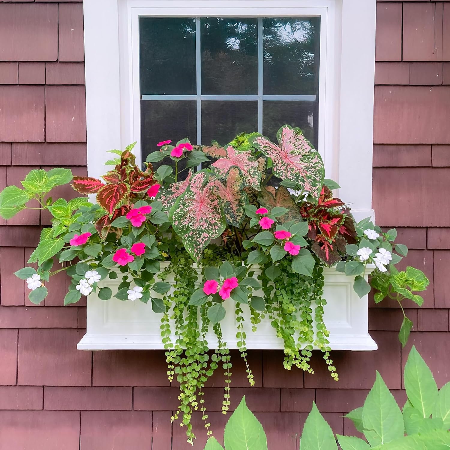 Mayne Fairfield 48in Self-Watering Rectangular Window Box Planter, Black | Self-watering, All season, Fade resistant, Mounting brackets included, Built-in overflow, 15-year warranty