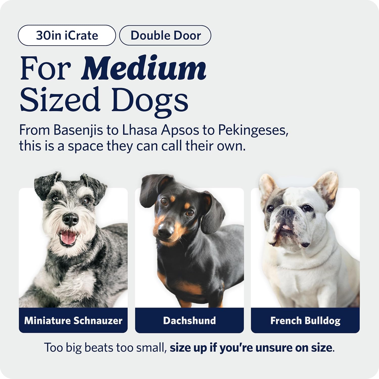 MidWest Homes for Pets 48-Inch iCrate for Extra-Large Breeds, 90-110 lbs, Single Door Folding Dog Crate with Divider Panel, Leak-Proof Tray & Secure Latches, Portable, Durable & Easy to Assemble
