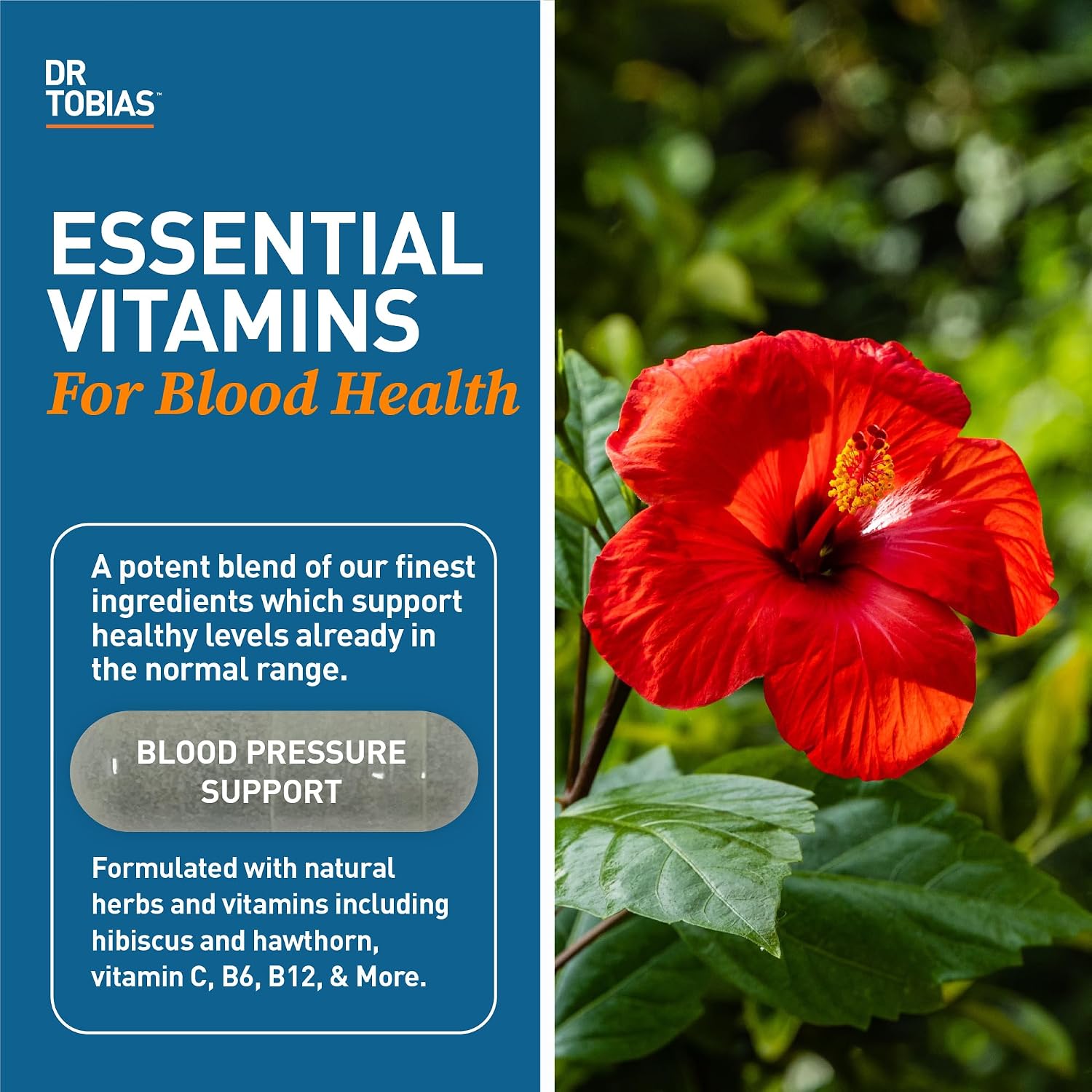 Dr. Tobias Blood Pressure Support Supplement 90 Capsules | Circulatory & Heart Health Support | Hawthorn + Hibiscus + Olive Leaf + Garlic | Vitamins