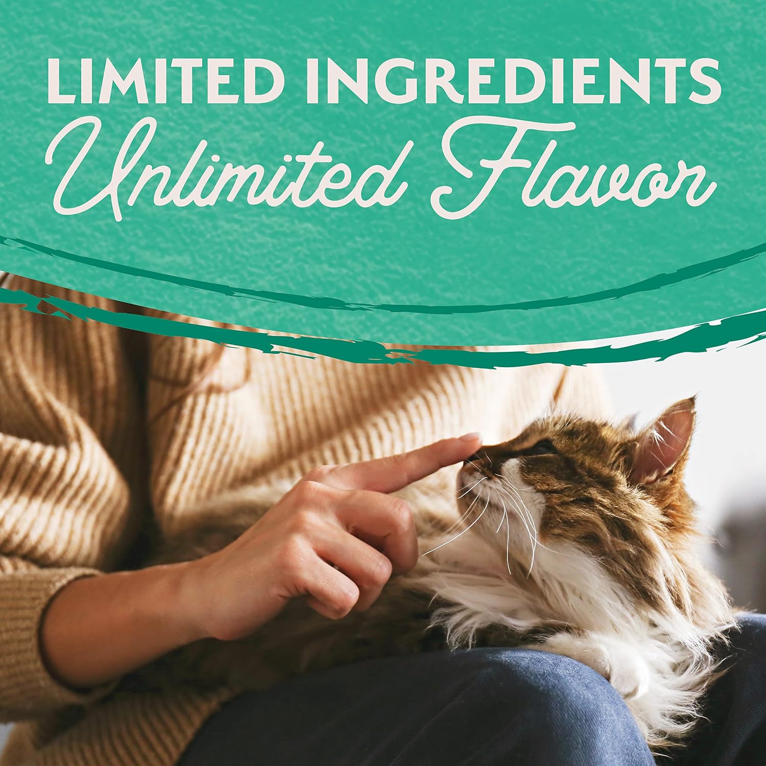 Natural Balance Limited Ingredient Adult Grain-Free Dry Cat Food - Balanced Nutrition - Soy-Free