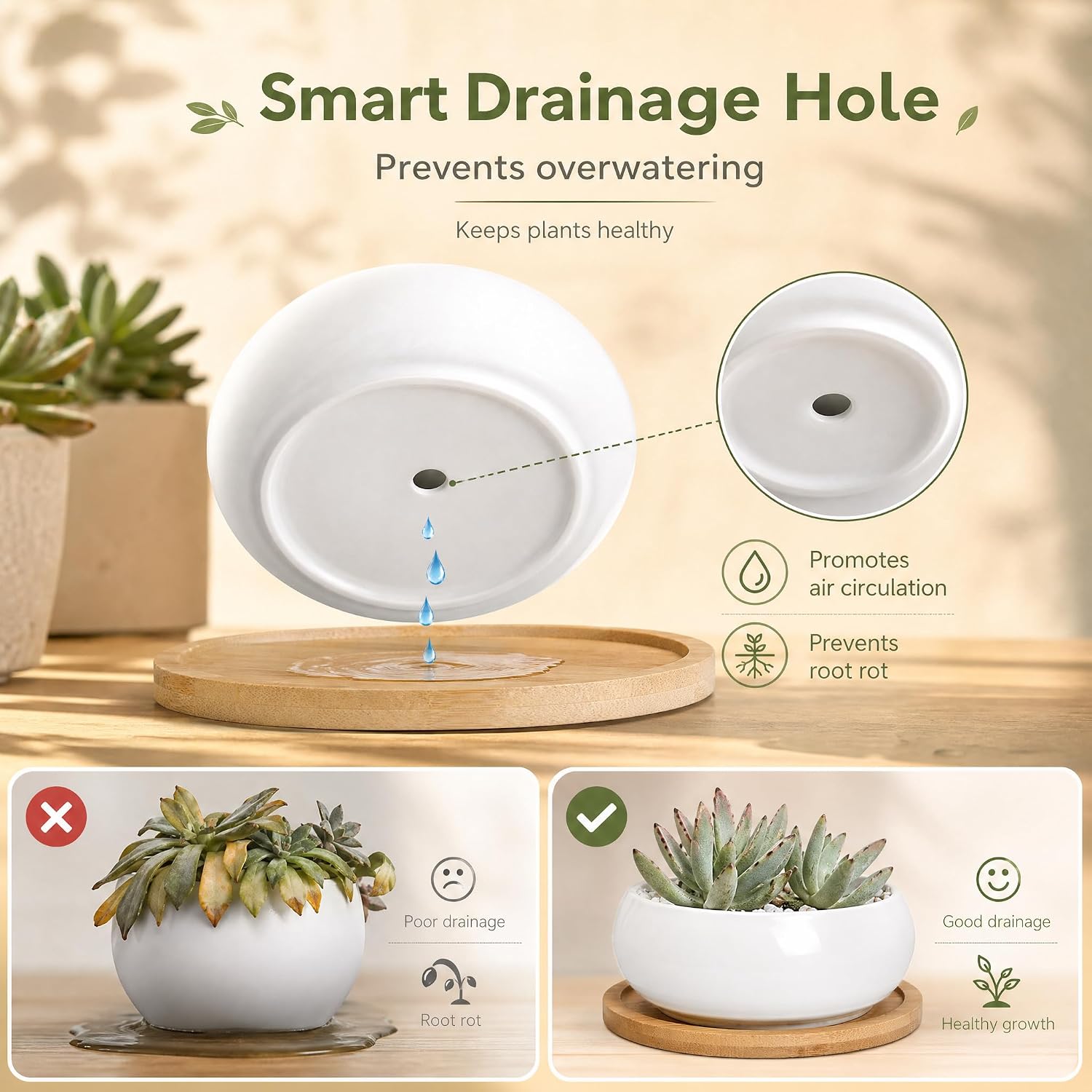 ZOUTOG 2 Pack 6" Ceramic Succulent Pots, White Planters with Drainage Tray