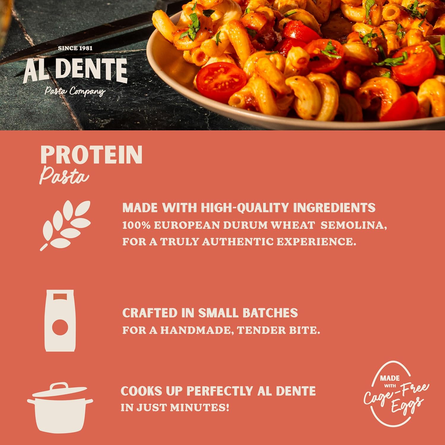 Al Dente Protein Egg Fettuccine 2-pack: 30g Protein from Eggs, Lower Carb | High Protein Fettuccine, No Beans/Legumes, Formerly Carba-Nada. Premium Pasta w/ Cage-Free Eggs, European Semolina Wheat
