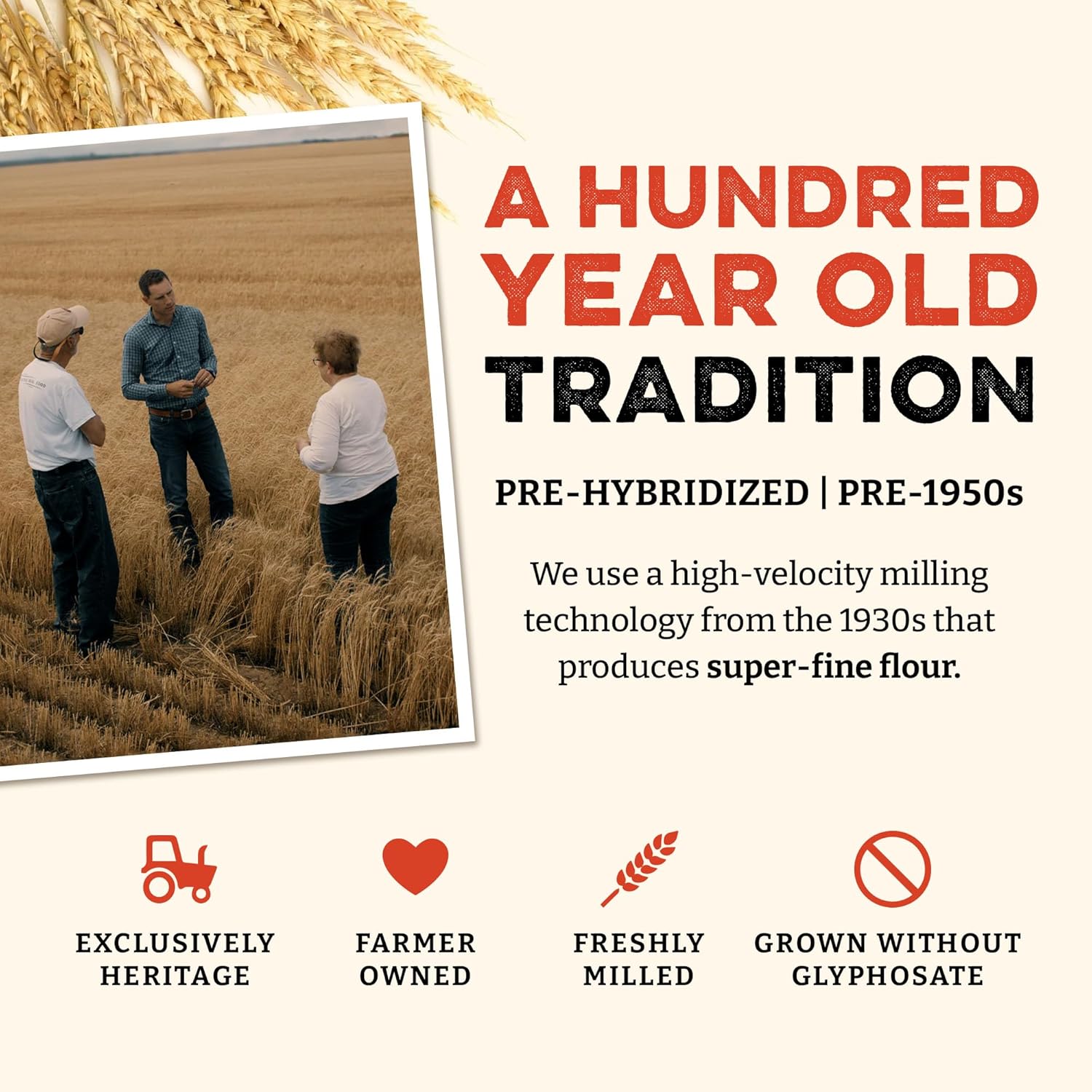 Sunrise Flour Mill Heritage Organic White Flour | USDA Organic All Purpose Flour Unbleached - Non-GMO, Kosher, Grown Without Glyphosate