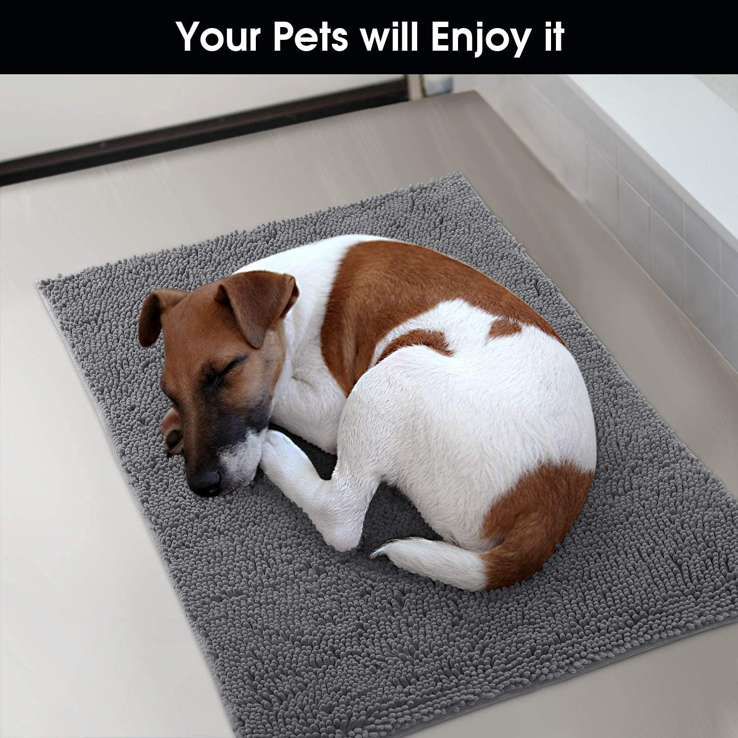 HOMEIDEAS Dog Door Mat for Muddy Paws 30x20, Absorbs Moisture and Dirt, Non-Slip Washable Doormat, Soft Chenille Mud Mat for Dogs