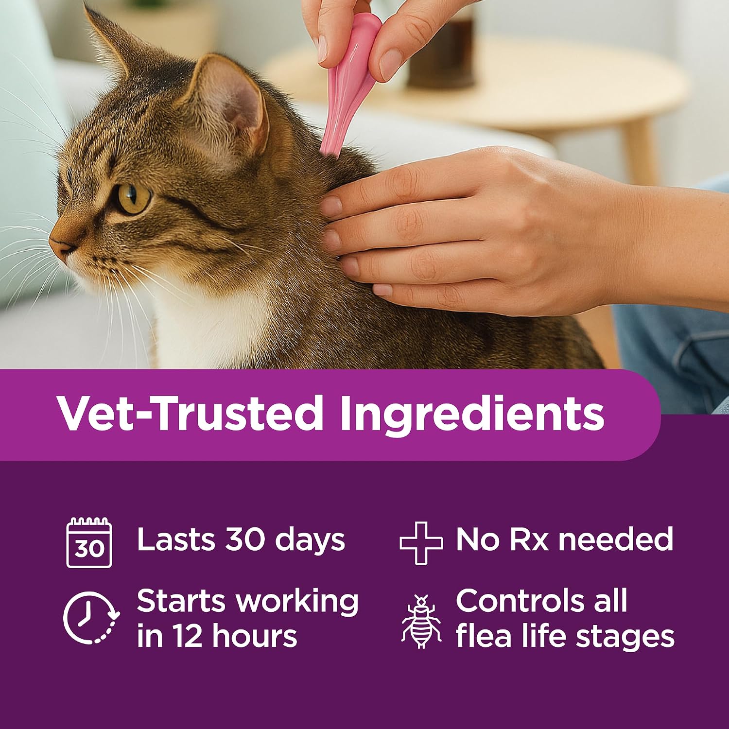 TevraPet Actispot II Flea Treatment for Small and Medium Cats 5-9 lbs | 6 Doses | Powerful Prevention and Control, Clear