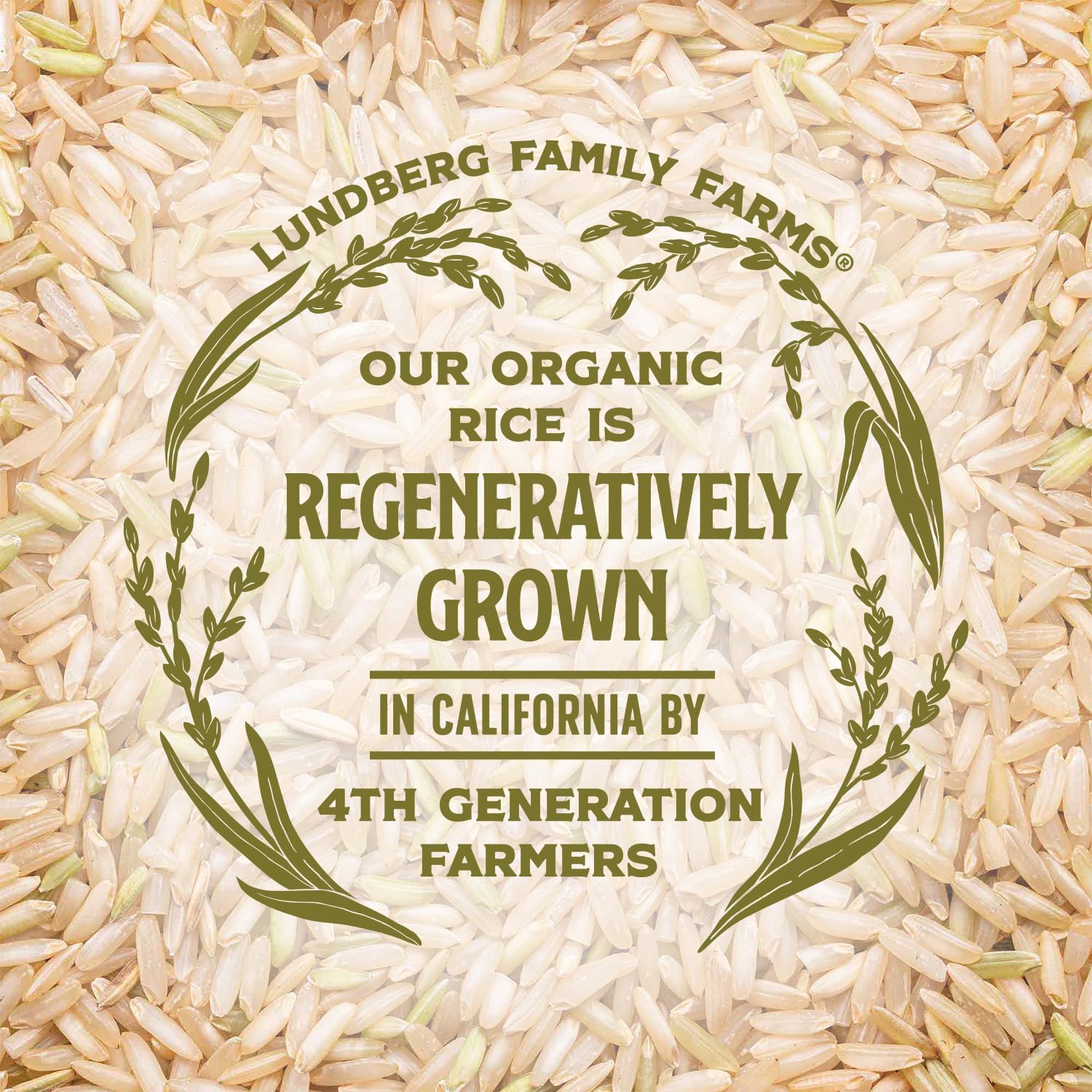 Lundberg Basmati Rice, Long Grain White Rice - Non-Sticky, Fluffy, Nutty, Aromatic Rice, Vegan Food, Healthy Meals, Gluten-Free, Grown in California, 64 Oz