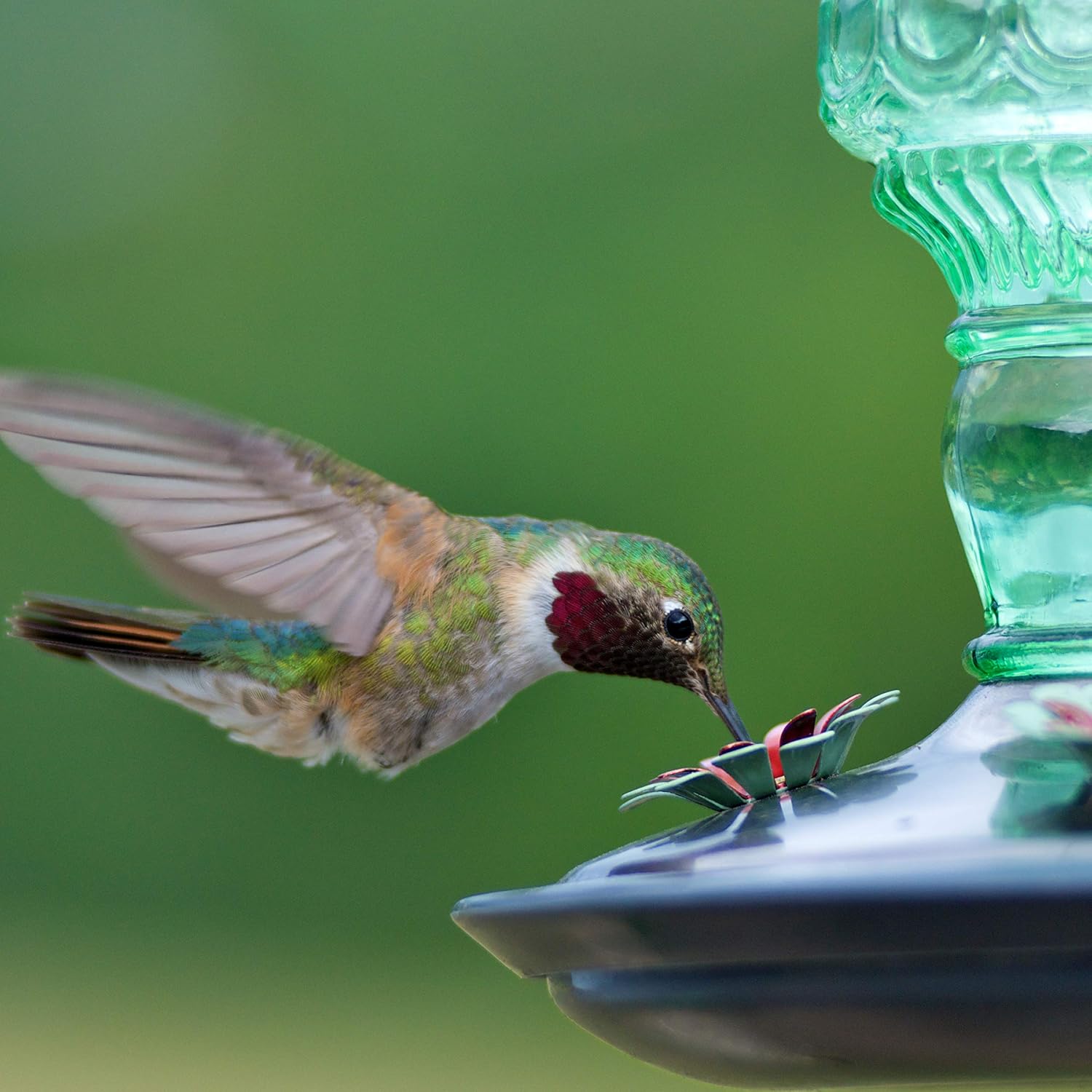Perky-Pet Antique Glass Bottle Hummingbird Feeder, 10 oz Capacity, Green | 4 Feeding Ports for Outdoors Hanging Bird Feeders, Backyard Garden Décor