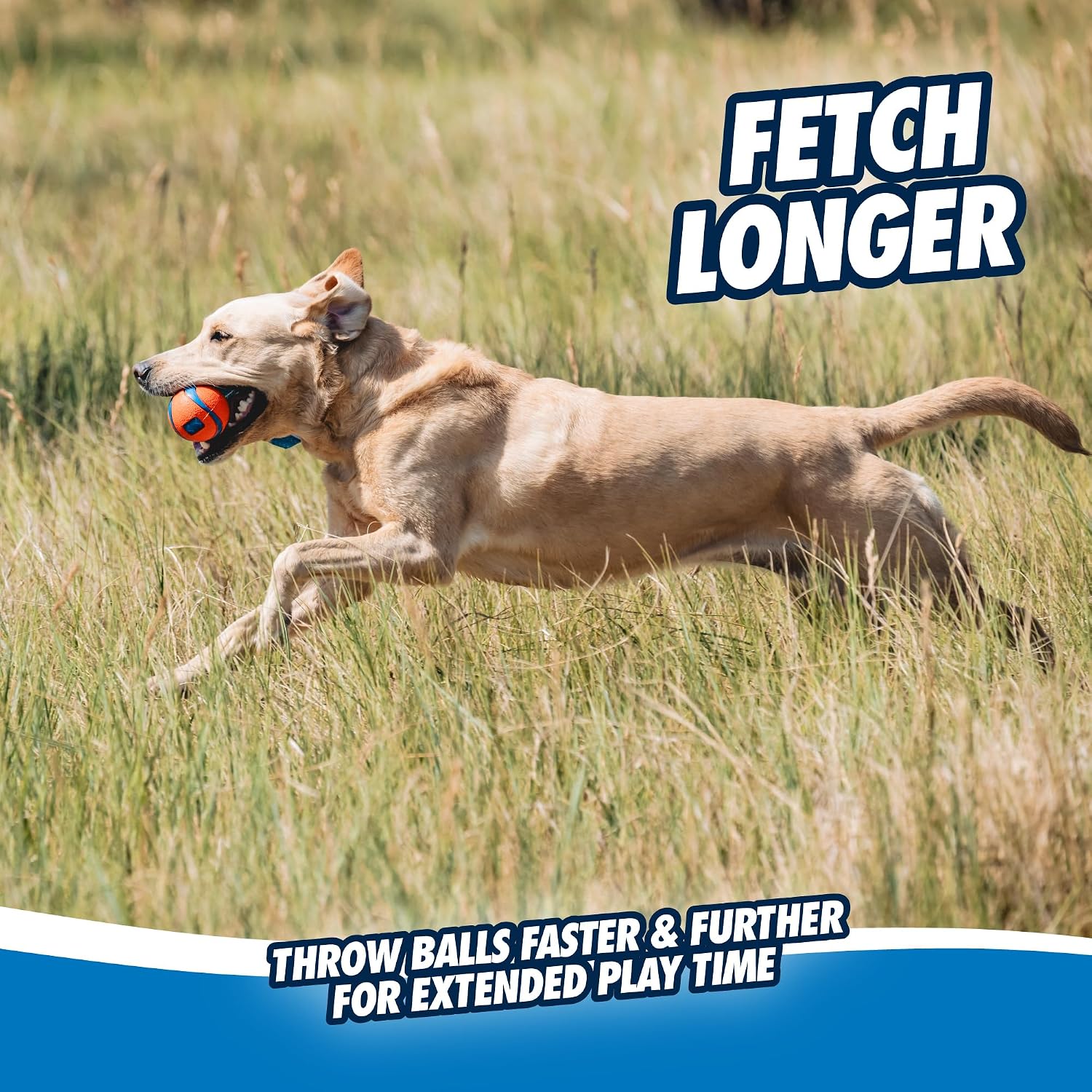 Chuckit! Ultra Tug Dog Toy - Ultra Ball on a Durable Nylon Cord Handle - Fetch and Tug-of-War Toy for Dogs - Size Large - For Breeds 60-100 lbs - 3-inch Diameter - Orange and Blue