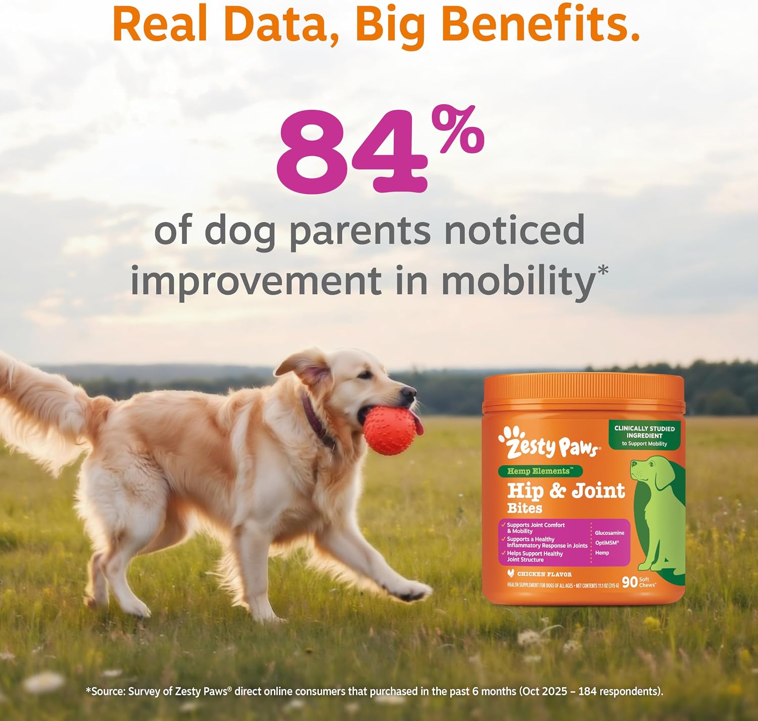 Zesty Paws Hip and Joint Supplement for Dogs - Glucosamine with Chondroitin, MSM, Vitamins C and E Dog Joint Relief - Mobility Bites Duck – 90 Count