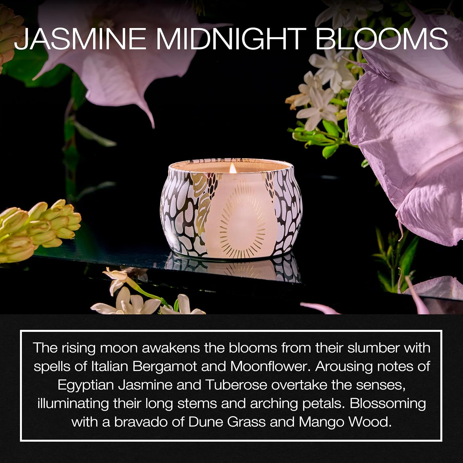Voluspa Baltic Amber Candle | Mini Tin | 4 Oz. | 25 Hour Burn Time | Coconut Wax for a Cleaner Burn