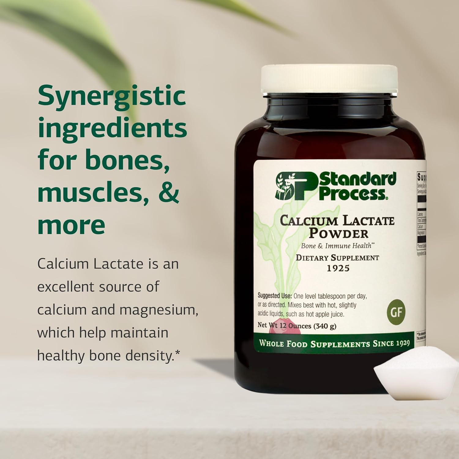 Standard Process - Calcium Lactate Powder - Bone Health & Immune Support - Calcium Magnesium Supplement for Bone Strength & Blood Health - Non-Dairy, Soy & Gluten-Free - 12 oz