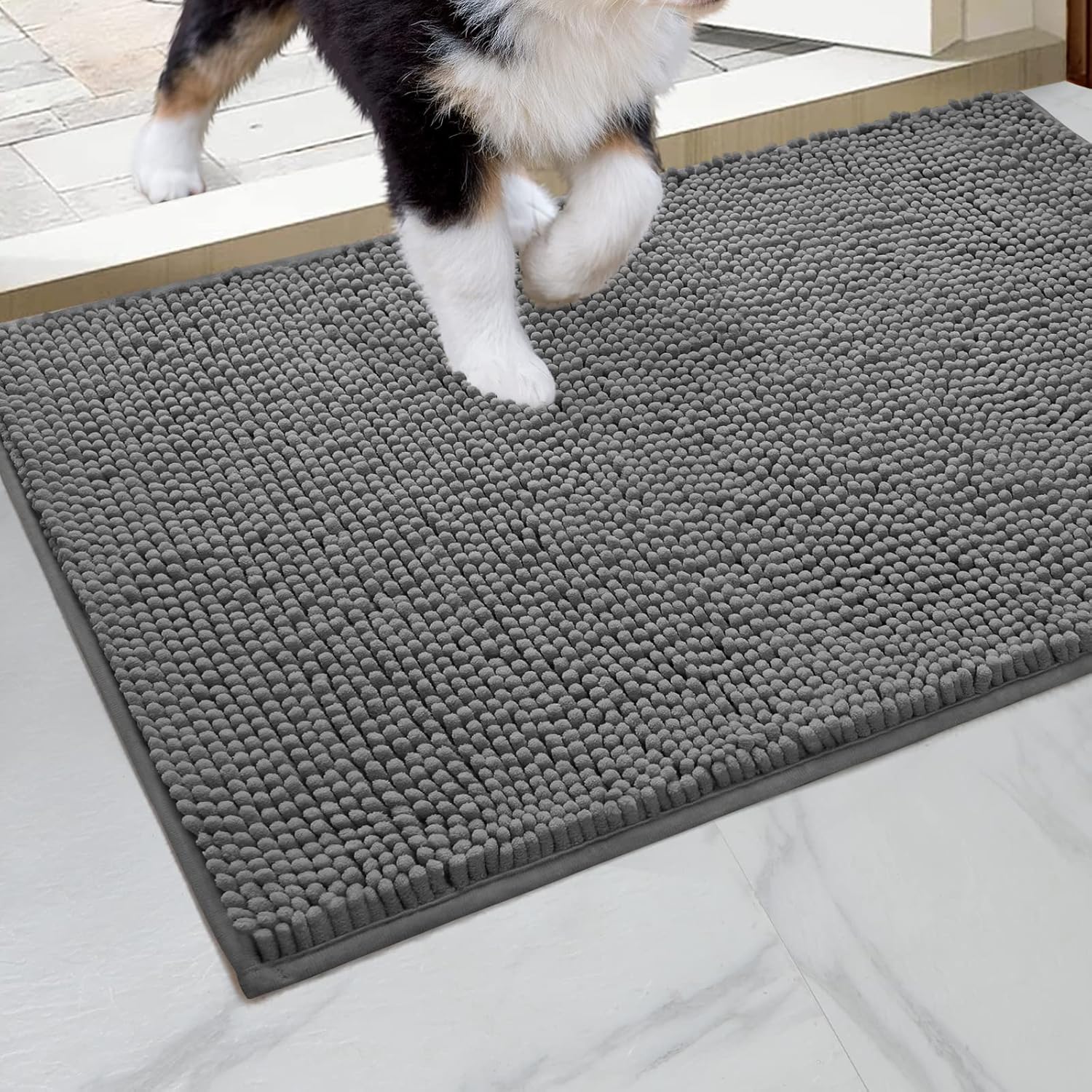 HOMEIDEAS Dog Door Mat for Muddy Paws 30x20, Absorbs Moisture and Dirt, Non-Slip Washable Doormat, Soft Chenille Mud Mat for Dogs