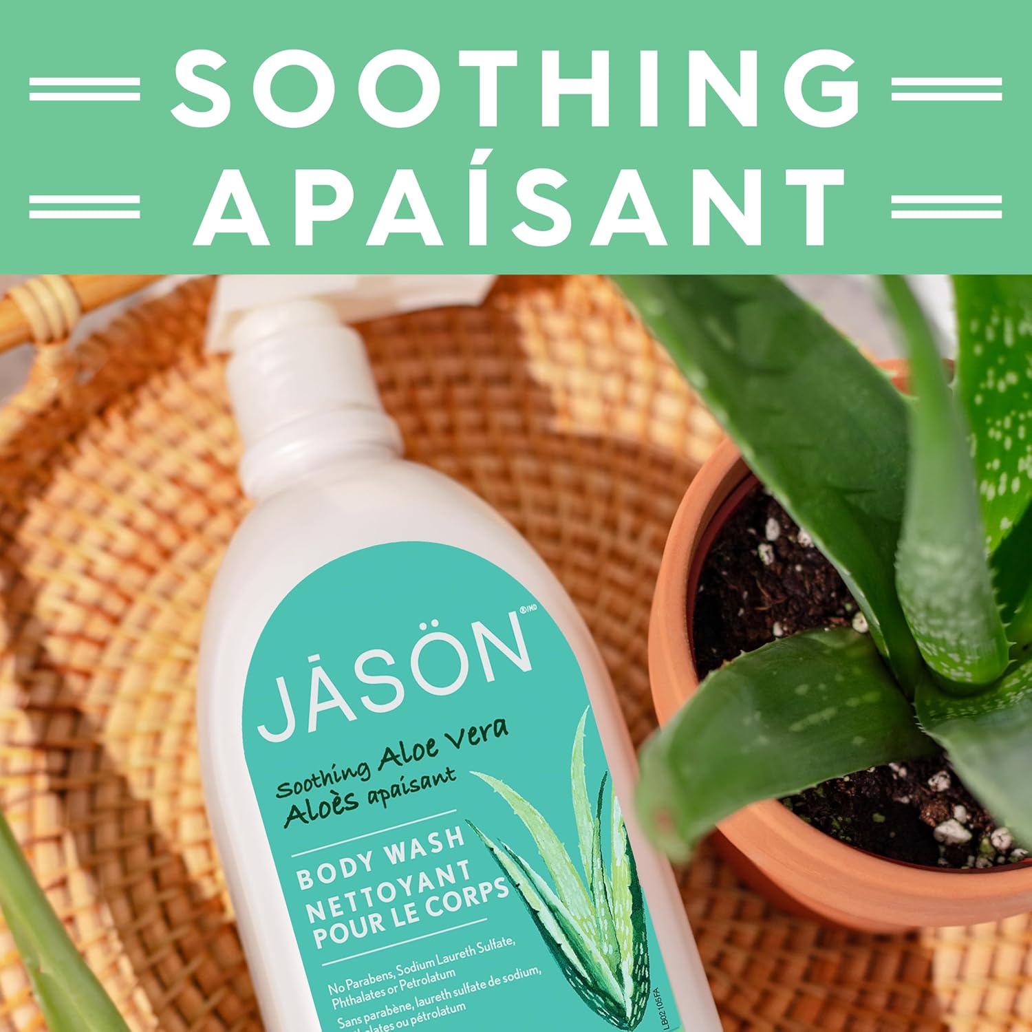 JASON Aloe Vera Shower Gel Body Wash - Soothing, Gentle Clean Feeling, 30 Fluid Ounces