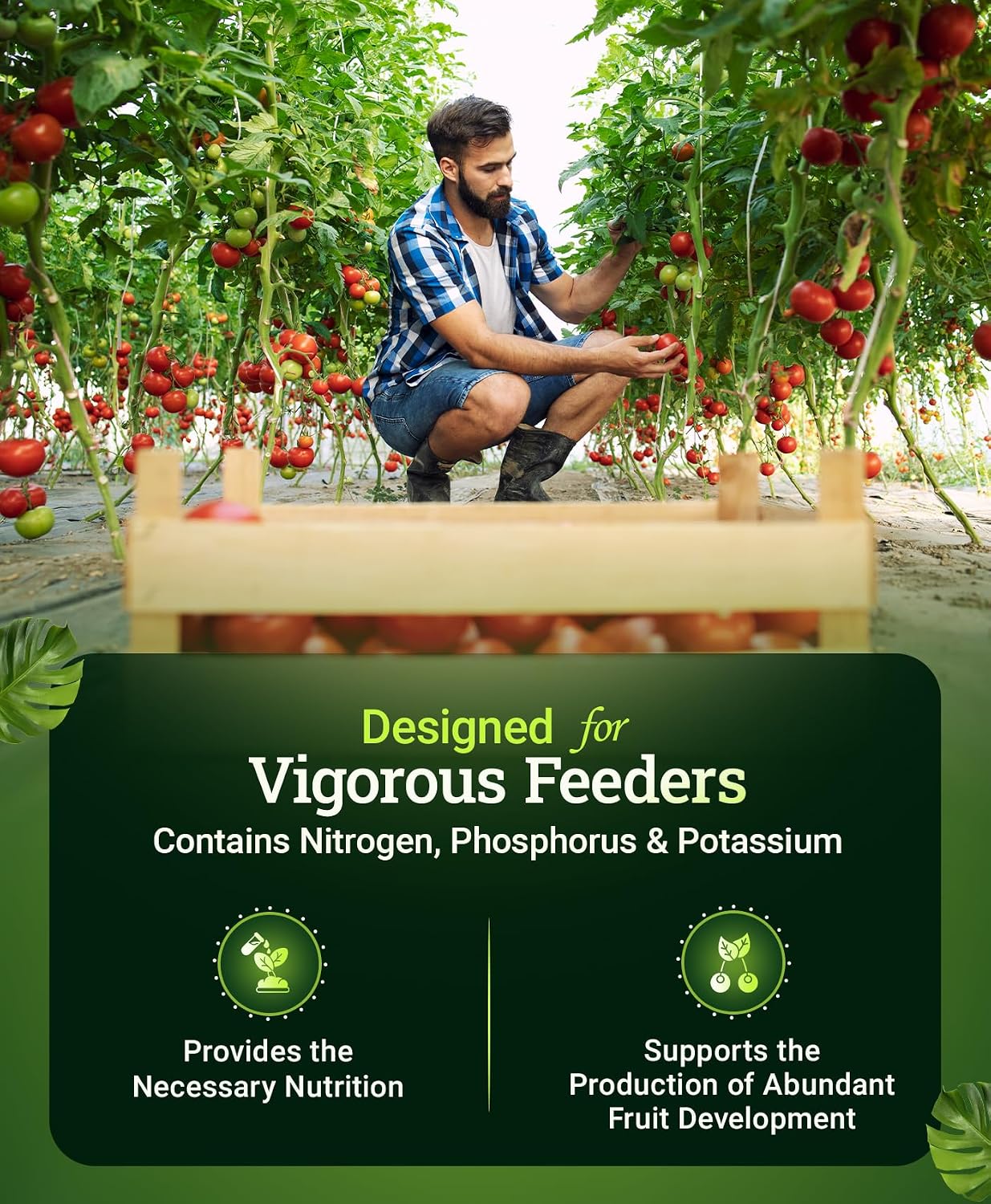 FoxFarm Happy Frog Tomato & Vegetable Fertilizer - Vegetable Fertilizer for Vigorous Feeders, 5-7-3 Blend with Calcium & Mycorrhizal Fungi