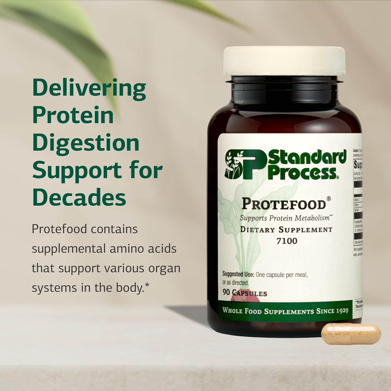 Standard Process Protefood - Protein Metabolism Support Supplement - Aids Bone & Immune Health - Whole Food-Based Supplement for Cellular Health