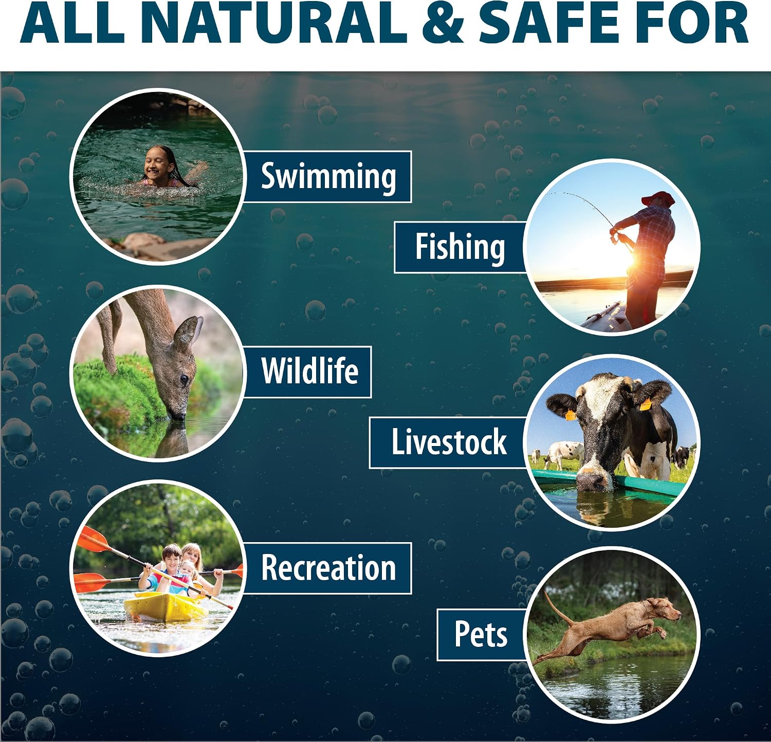Airmax Pond Dye Plus, Nature's Blue Pond & Lake Water Colorant, 1 Gallon | Natural beneficial bacteria clarifier shades plants and algae from sunlight; fish and livestock safe