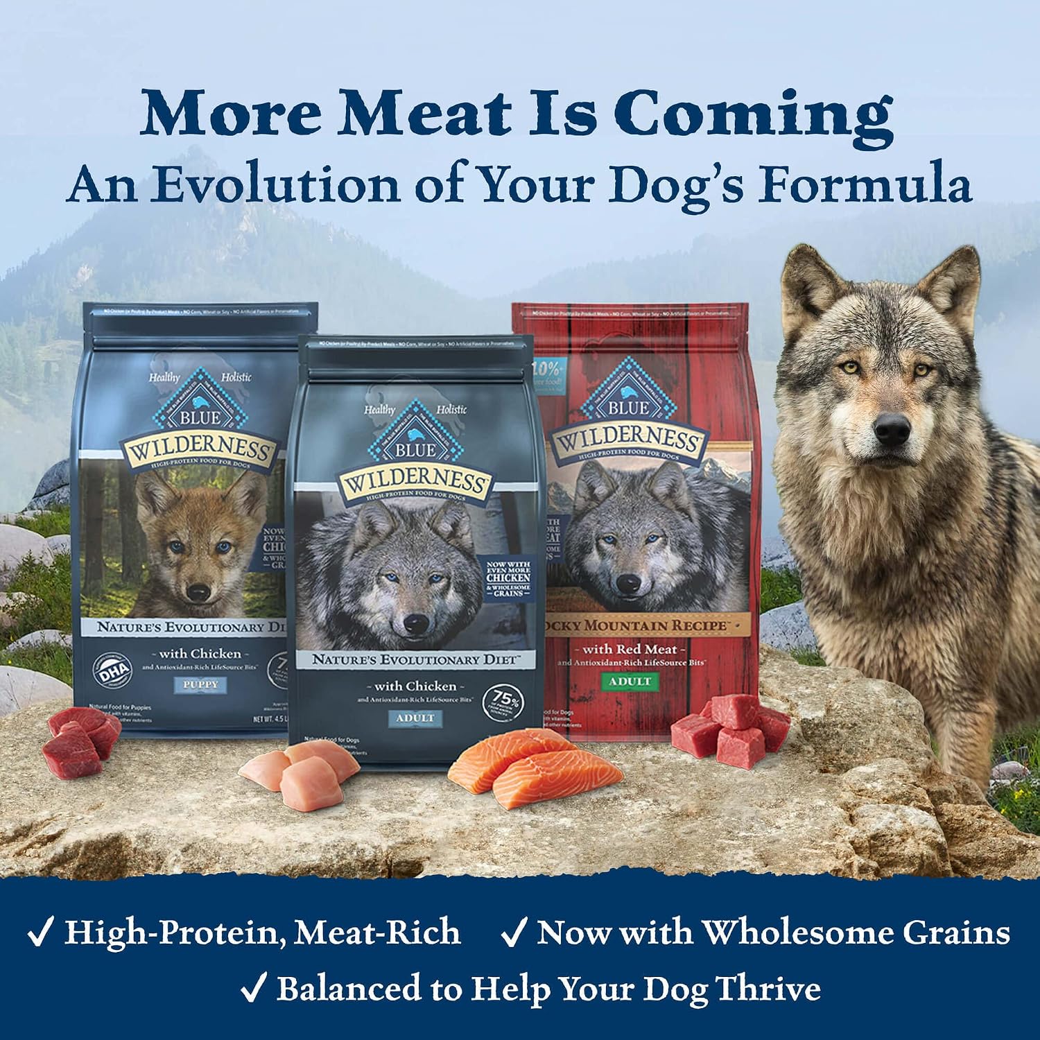 Blue Buffalo Wilderness Chicken Adult Dry Dog Food, Grain-Free, 24 lb | 39g Protein, Real Chicken #1 Ingredient, Supports Immunity with Antioxidant-Rich LifeSource Bits, Promotes Healthy Muscles