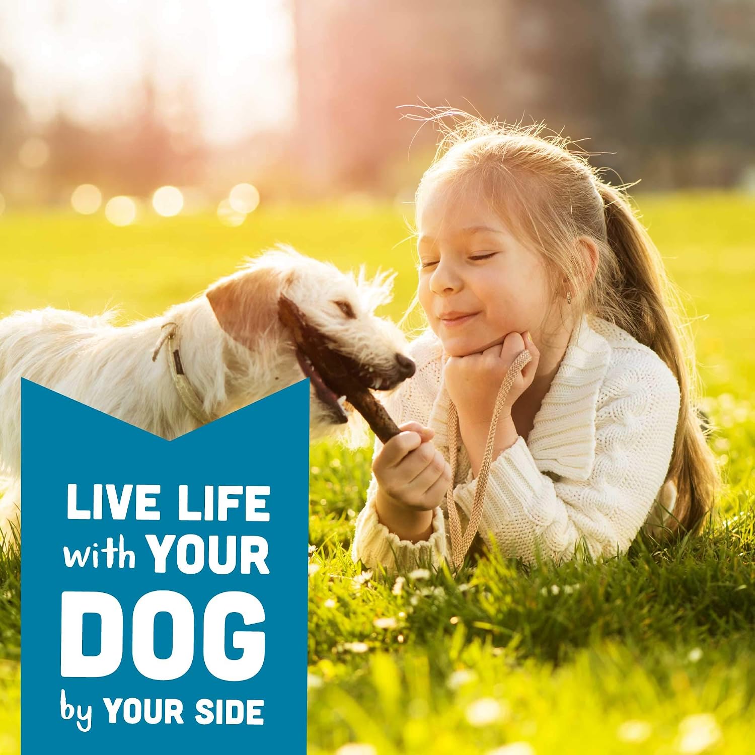 Cloud Star Wag More Bark Less - Dog Treats - Soft Chews - Grain Free Chicken & Sweet Potato - 5 oz Pouch