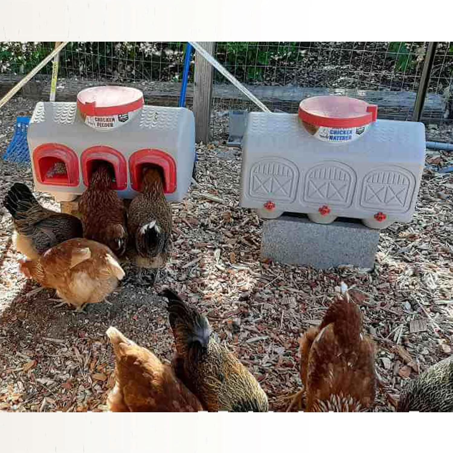 OverEZ Automatic Chicken Waterer with No Spill System, Outside and Inside Poultry Drinker