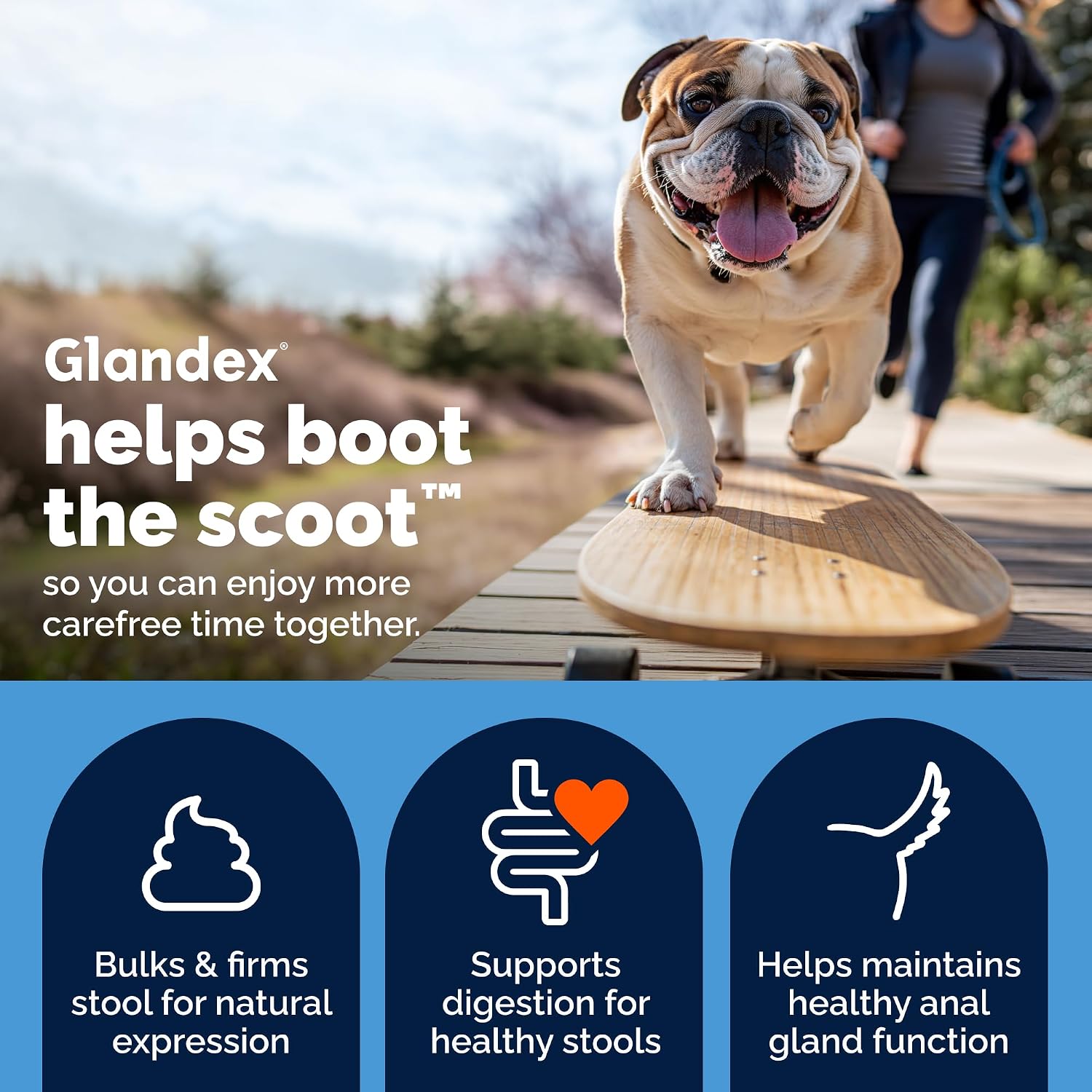 Vetnique Glandex for Dogs Anal Gland Chews 30ct, Pumpkin, Digestive Enzymes | Anal Gland Dog Treats, Boot the Scoot + Fishy Odor Support, Fiber, Probiotics, Quercetin + Apple Pectin, Peanut Butter