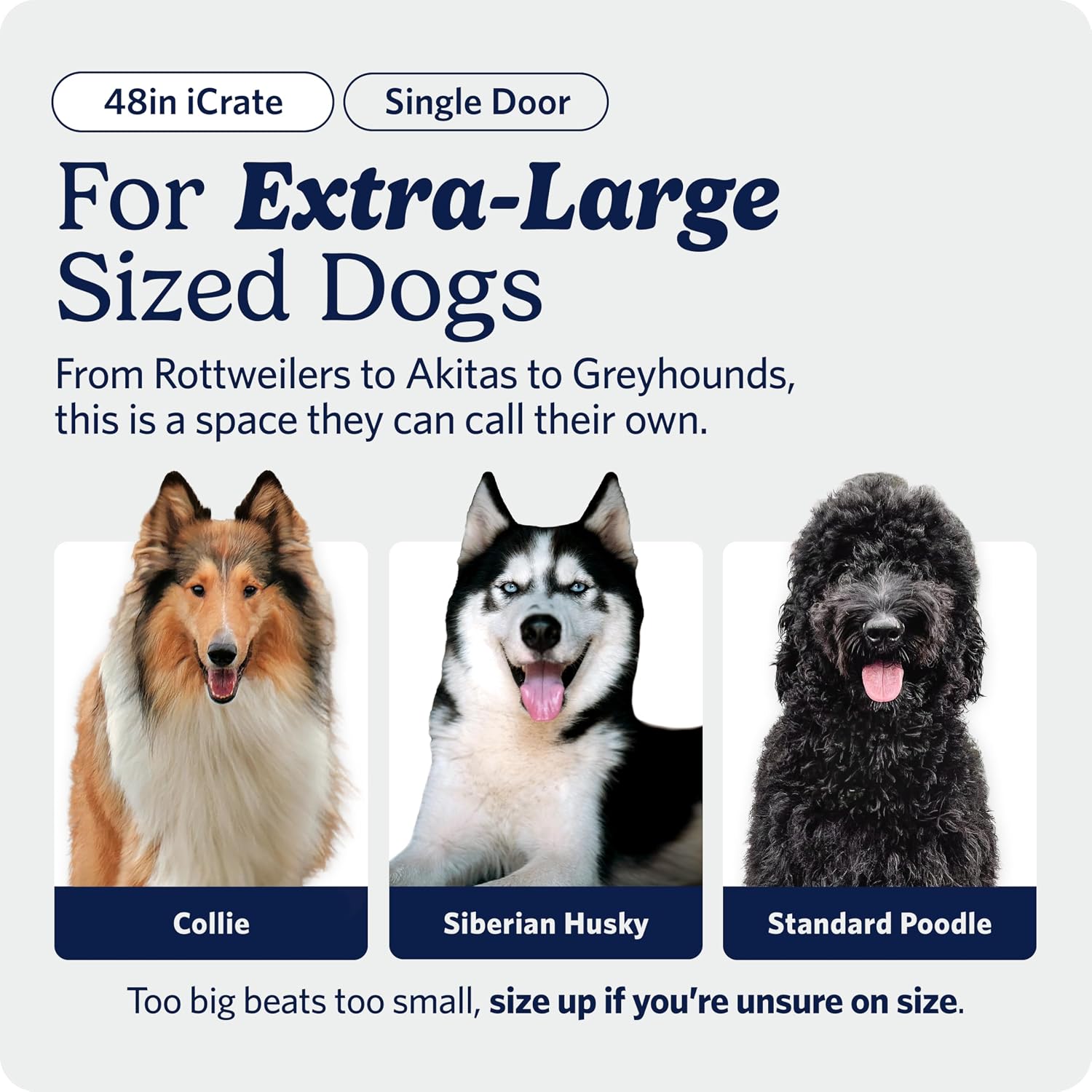 MidWest Homes for Pets 48-Inch iCrate for Extra-Large Breeds, 90-110 lbs, Single Door Folding Dog Crate with Divider Panel, Leak-Proof Tray & Secure Latches, Portable, Durable & Easy to Assemble