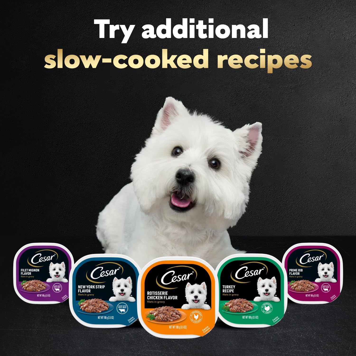 Cesar Filets in Gravy Wet Dog Food, Steak Mix Variety, 3.5 oz, 24 Count | Filet Mignon, New York Strip & Prime Rib, real meat, slow-cooked, no fillers/added sugar/artificial flavors, easy peel trays