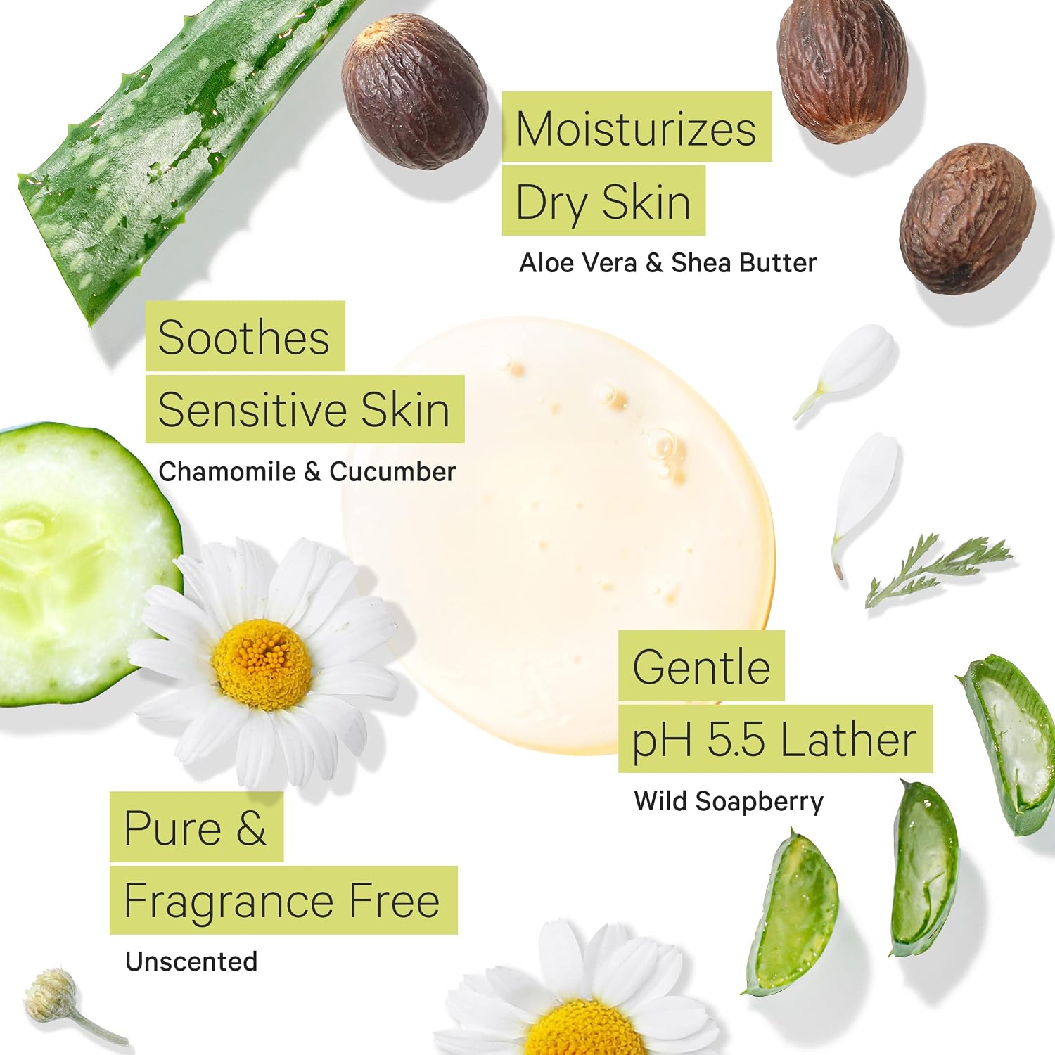 Tree To Tub Soapberry Body Wash for Dry, Sensitive Skin, pH 5.5, 8.5 Fl Oz | Sulfate & Paraben-Free, Rich Lather, Fragrance-Free, Shea Butter & Aloe Vera, Vegan & Cruelty-Free, Gentle for Daily Use