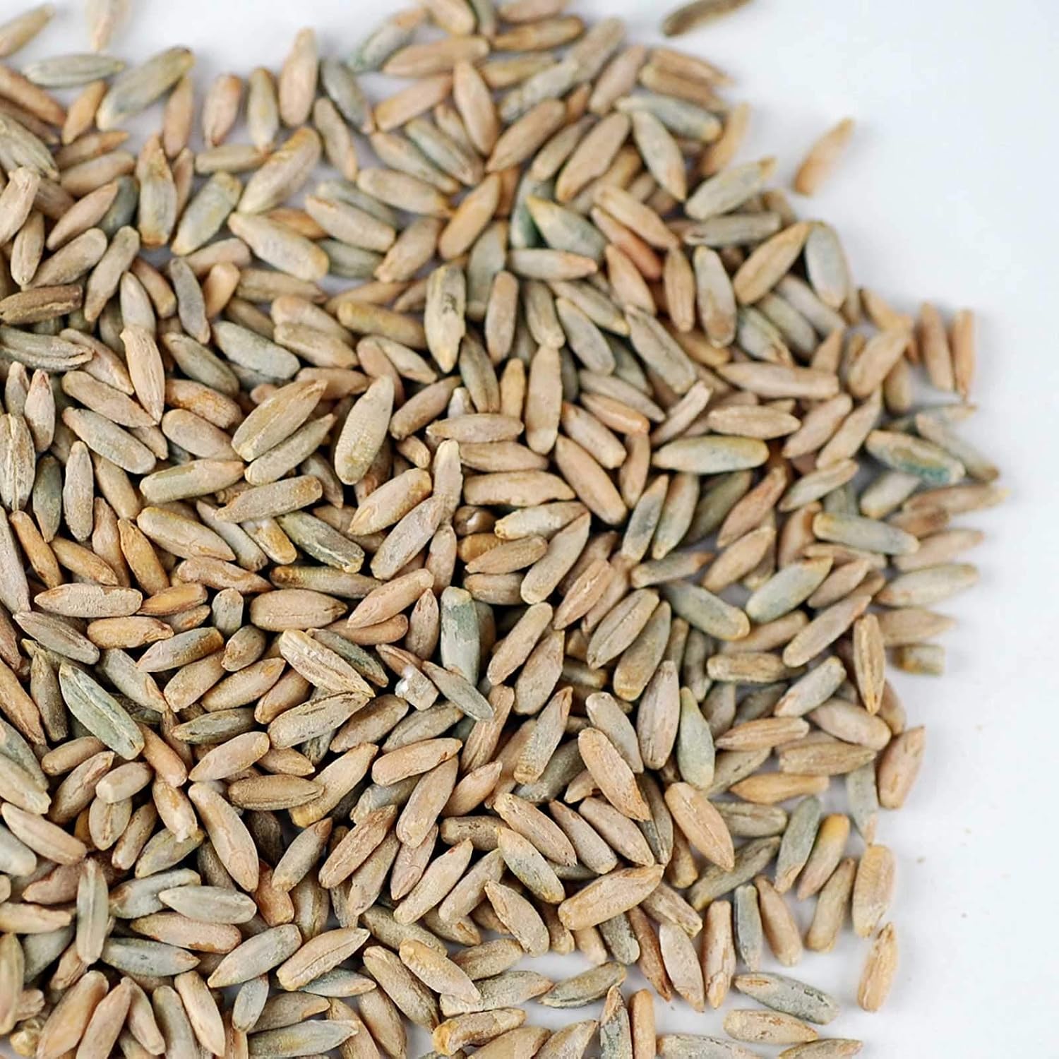 Handy Pantry Organic Rye Grain Seeds - Rye Seed 5 Lb Bulk Sprouting | Organic Rye Berries and Seeds for Flour, Meal, Pasta, Marble Bread, Cracked Grain, Sprouting, and Grass Growing