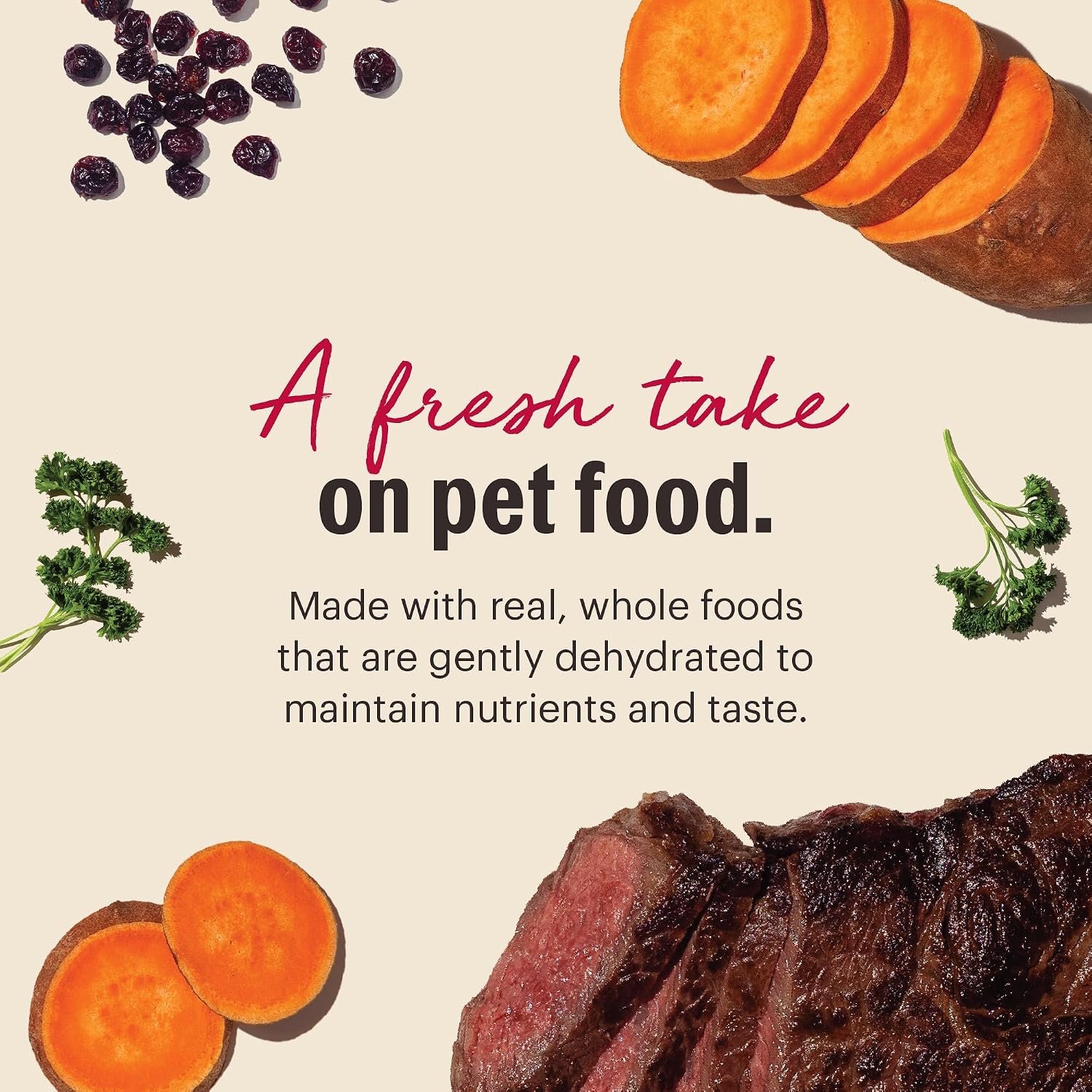 The Honest Kitchen Human Grade Wholemade™ Dehydrated Grain Free Dog Food – Complete Meal or Dog Food Topper – Chicken 4 lb (Makes 16 lbs)