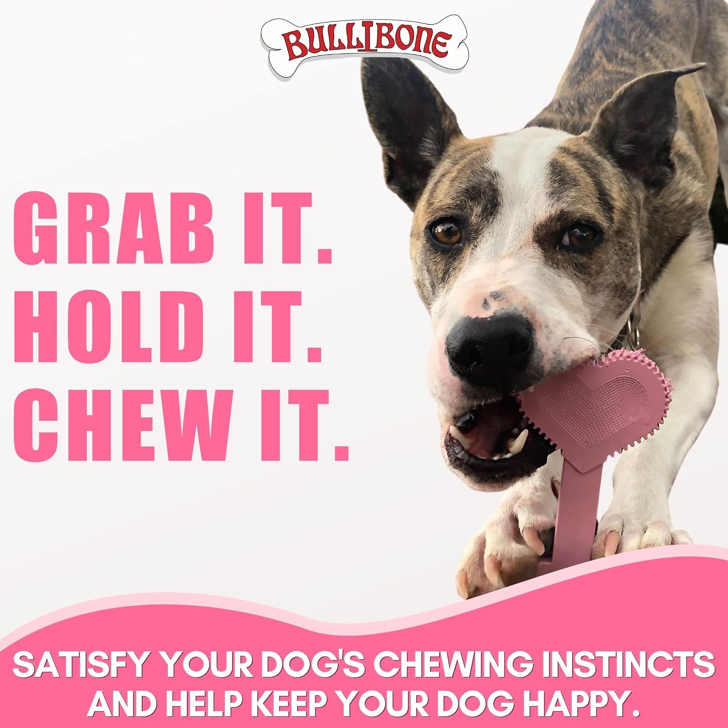 Bullibone Nylon Dog Chew Toy for Aggressive Chewers - Dental Hygiene Bone with Beef Flavor, Durable Tough Chew Toys for Small Dogs, Indestructible Dog Bone - 3 Pack