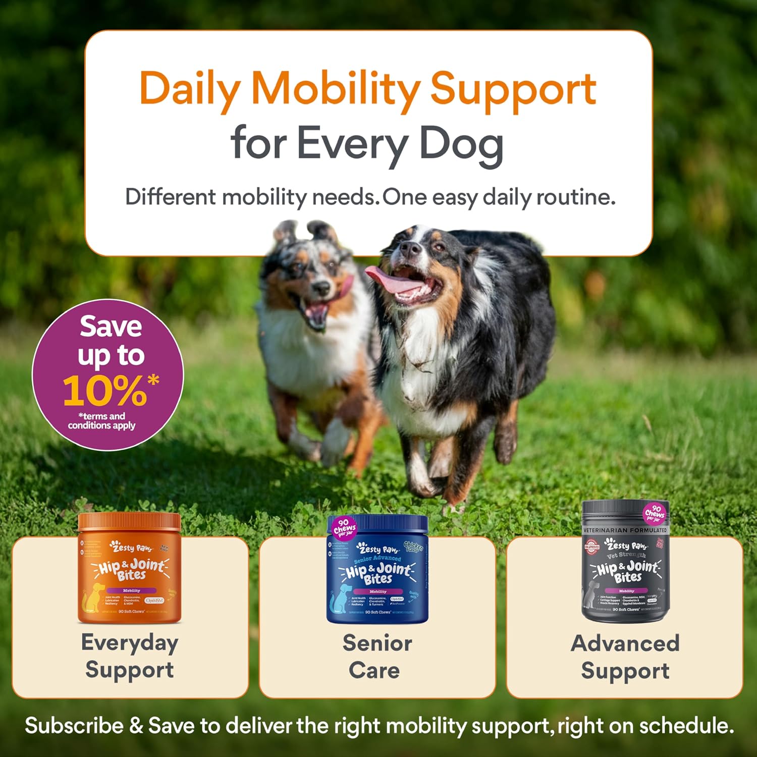 Zesty Paws Hip and Joint Supplement for Dogs - Glucosamine with Chondroitin, MSM, Vitamins C and E Dog Joint Relief - Mobility Bites Duck – 90 Count