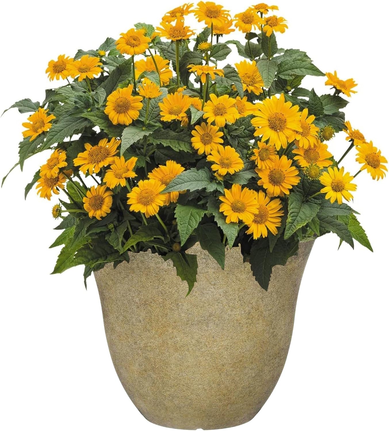 Honeysuckle Resin Planter, Durable Garden Pot, 15" Fossil | Hand-Painted Finish Plant Pots, Lightweight Indoor Outdoor Planter, UV-Resistant, Great for Patio, Home & Garden Decor Accent