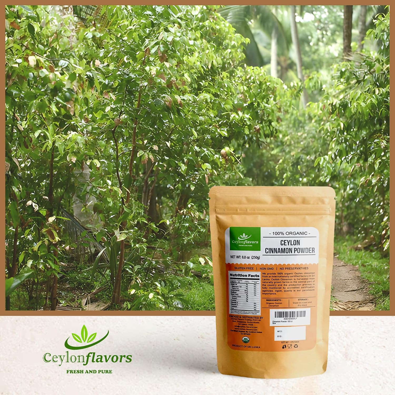 Ceylon Flavors Organic Ceylon Cinnamon Powder, Premium Special Grade, Non GMO, Harvested from a USDA Certified Organic Farm in Sri Lanka (3.5 oz)