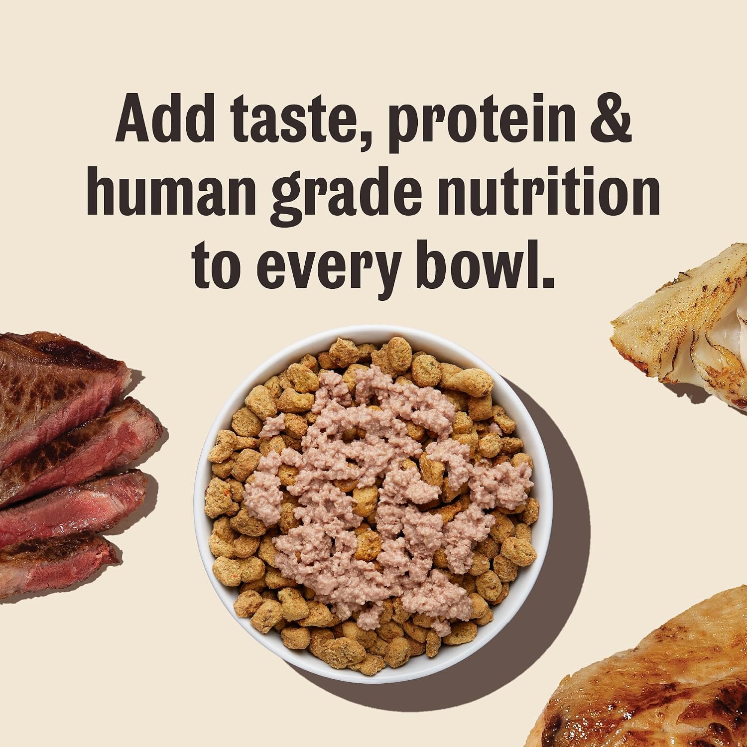 The Honest Kitchen Human Grade Wholemade™ Dehydrated Grain Free Dog Food – Complete Meal or Dog Food Topper – Chicken 4 lb (Makes 16 lbs)