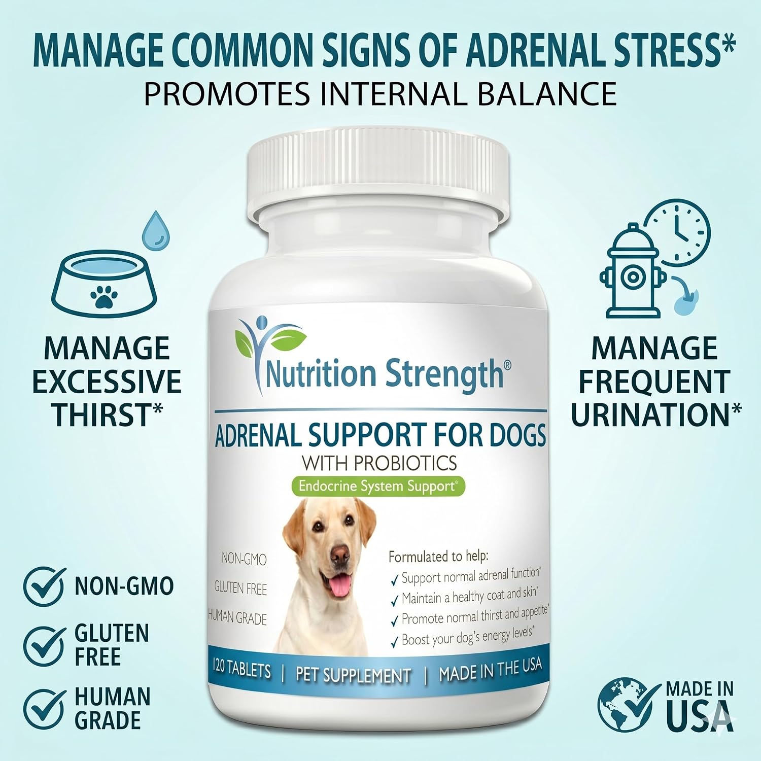 Adrenal Support for Dogs with Cushing's Disease | Maintain a Healthy Coat and Skin | Promote Normal Urination