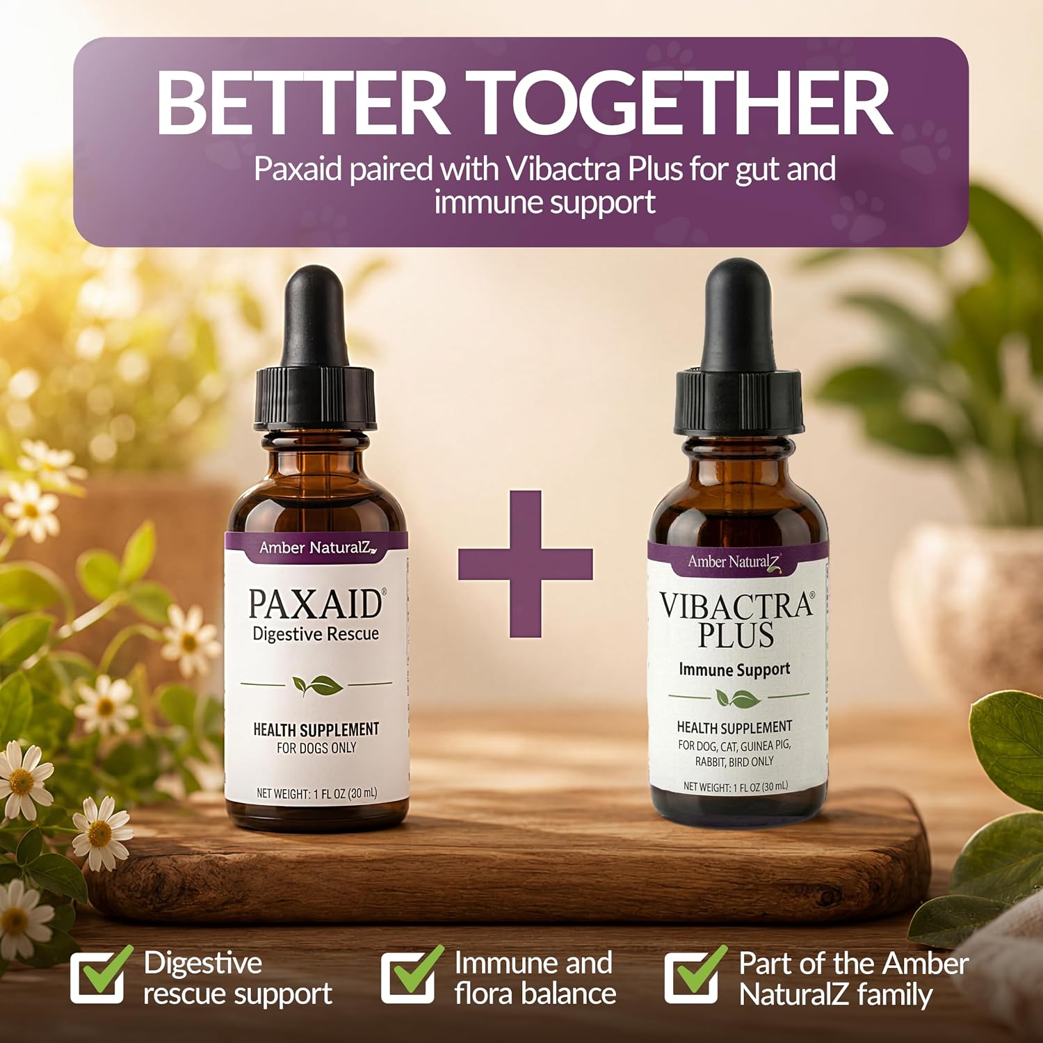 Amber NaturalZ Paxaid Dog Digestive Rescue Drops, Herbal, 1 FL OZ | Herbal digestive support drops for dogs & puppies; supports gut health, firm stools, normal appetite; USA-made