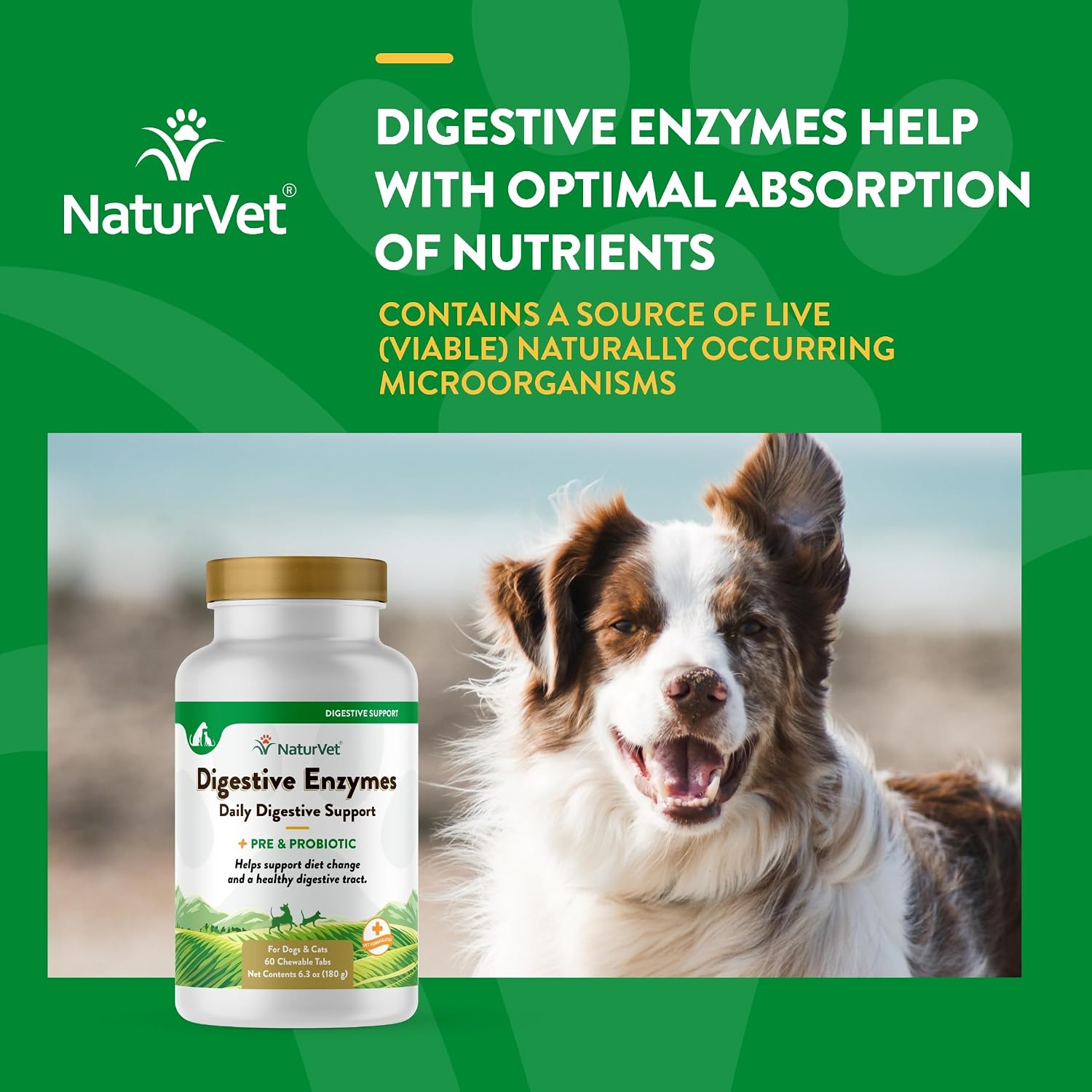 NaturVet Digestive Enzymes with Pre & Probiotic for Dogs & Cats - 8 oz | Supports Diet Changes & a Healthy Digestive Tract with Prebiotics, Powder