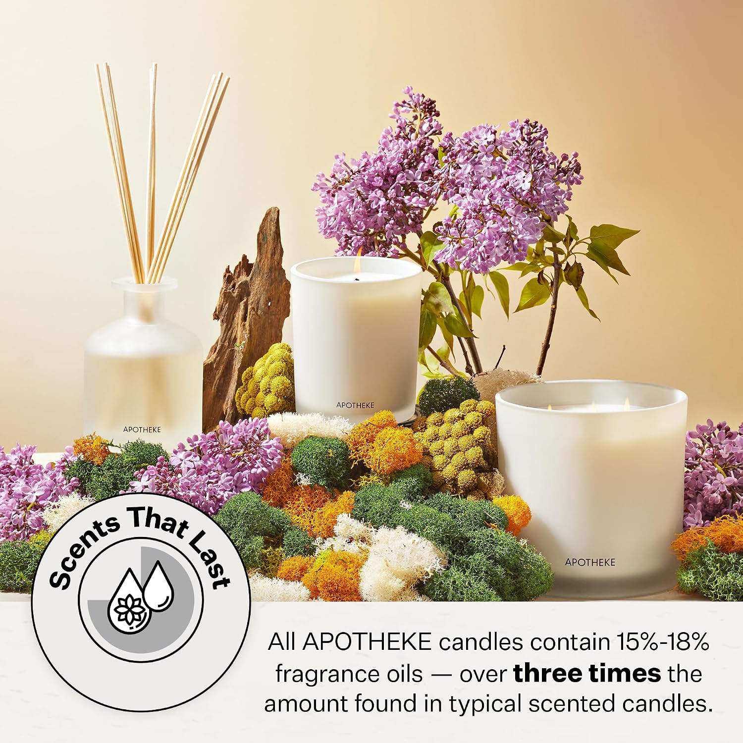Apotheke Signature Scented Candles for Home, Canvas - 10.5 Oz | Long-Lasting Non-Toxic Soy Wax Jar Candle with Essential Oils, Large - Luxury Gift for Women & Men