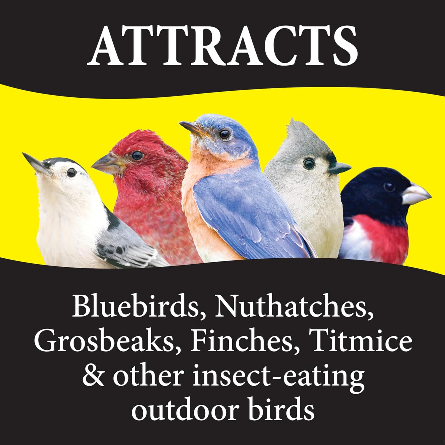 Wild Delight Deck, Porch N' Patio No Waste Bird Food, 5 lb, (374050)