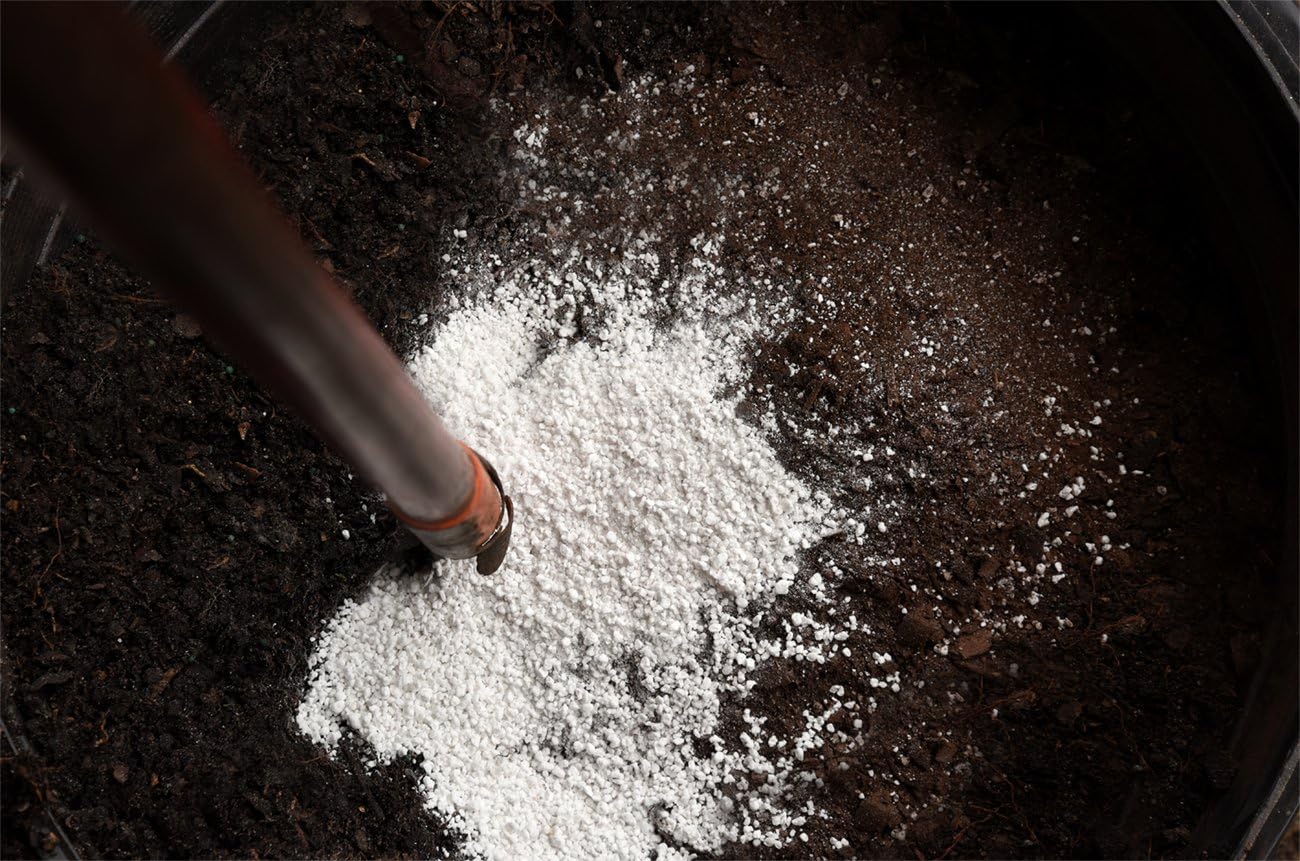 Perfect Plants Organic Perlite, 1 qt, Gardening Soil Drainage & Aeration | Lightweight horticultural mineral, prevents compacting