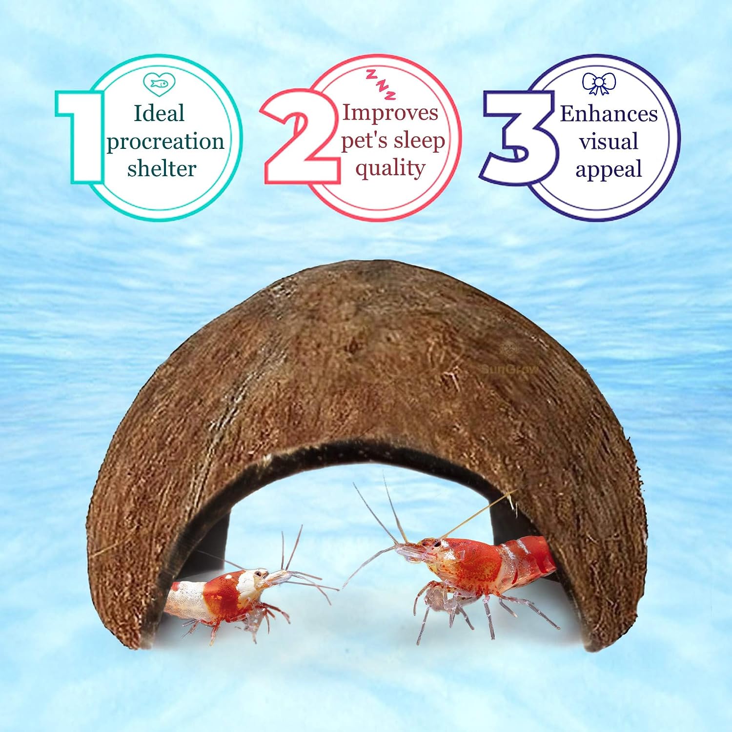 SunGrow Coconut Aquarium Shrimp Cave, Small Fish Tank Decorations Accessories, Comfortable Shelter and Breeding Area for Crustaceans, Fish Hideout Aquarium Décor for Spawning (1 piece)