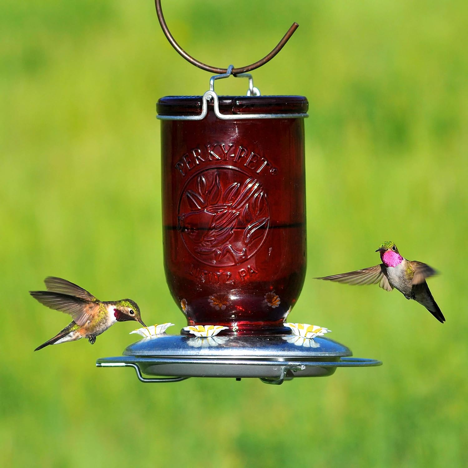 Perky-Pet Mason Jar Hummingbird Feeder, 32 oz Nectar Capacity | Vintage Style Glass Bird Feeder, 5 Flower Feeding Ports, Outdoor Garden Backyard Wildlife